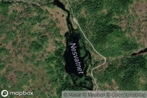 Nesvatnet