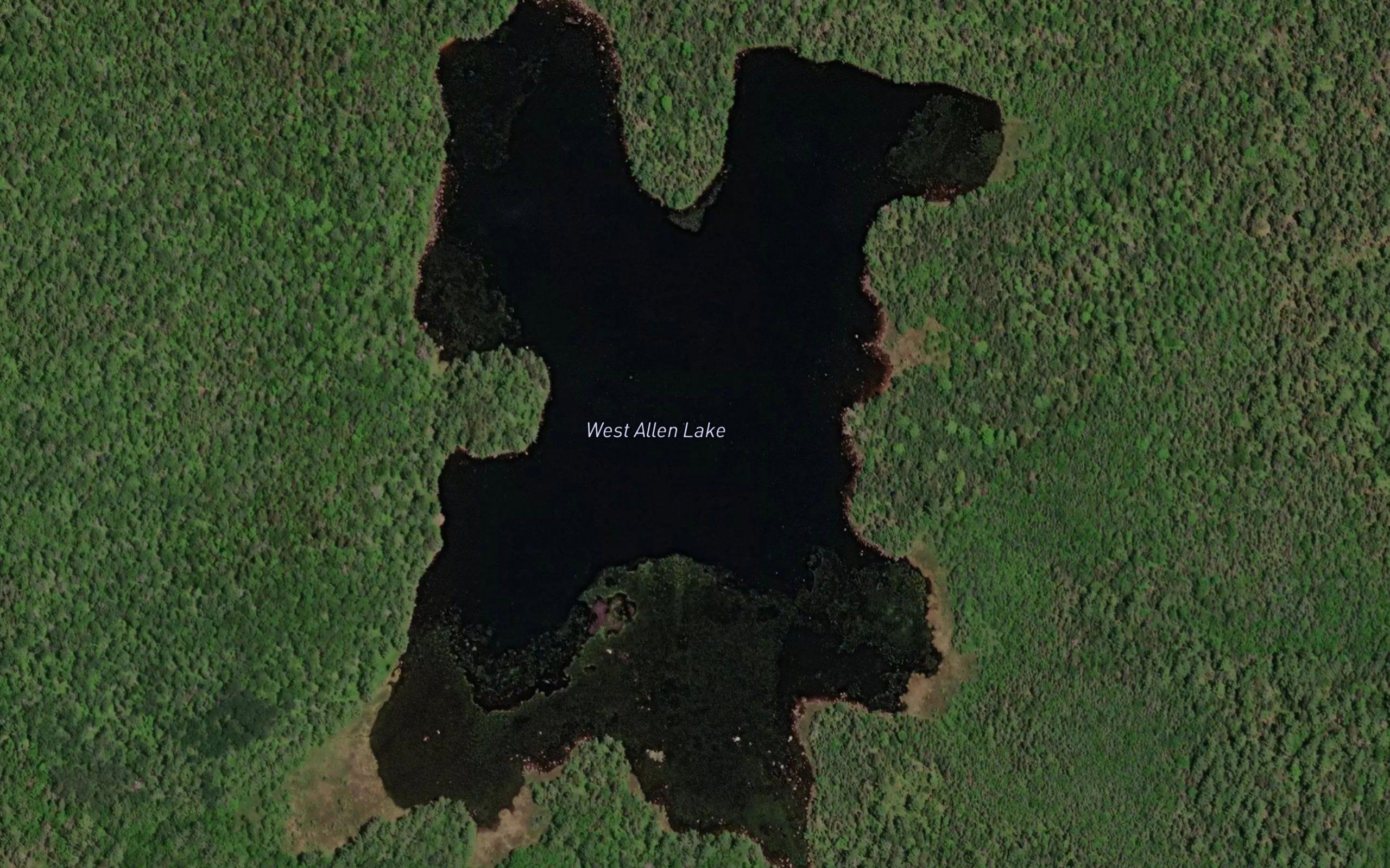 West Allen Lake
