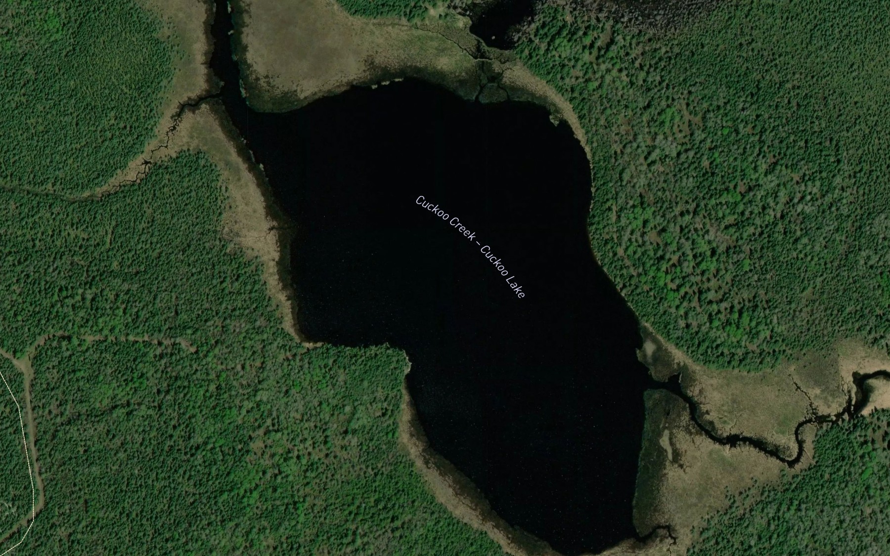 Satellite map of the Cuckoo Lake