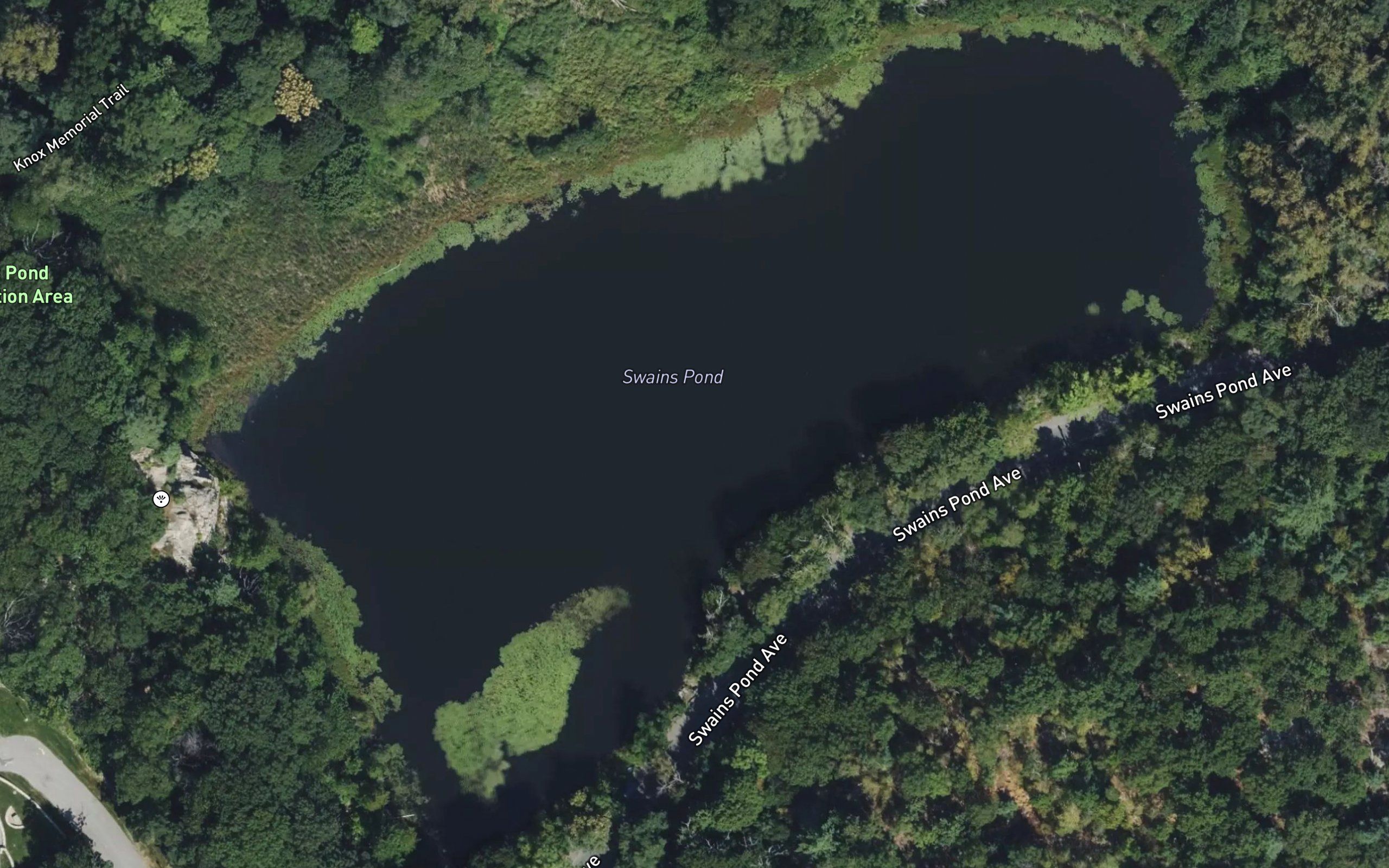 Swains Pond