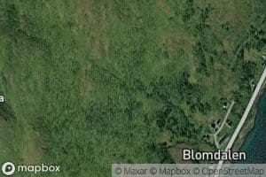 Blomdalselva