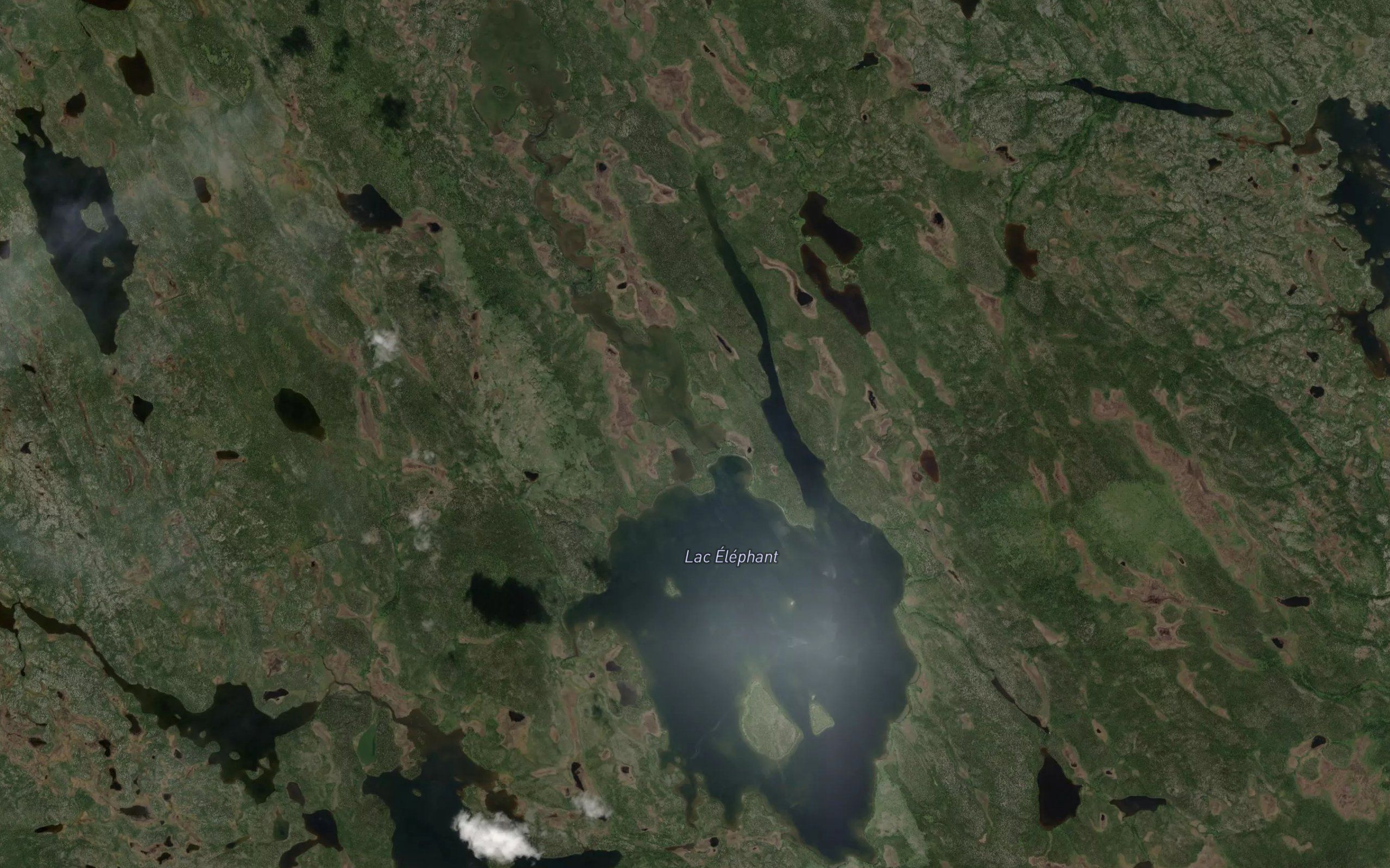 Lac Elephant