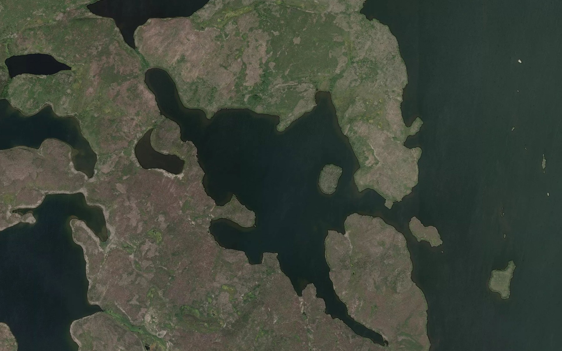 Satellite map of the Wilson Bay