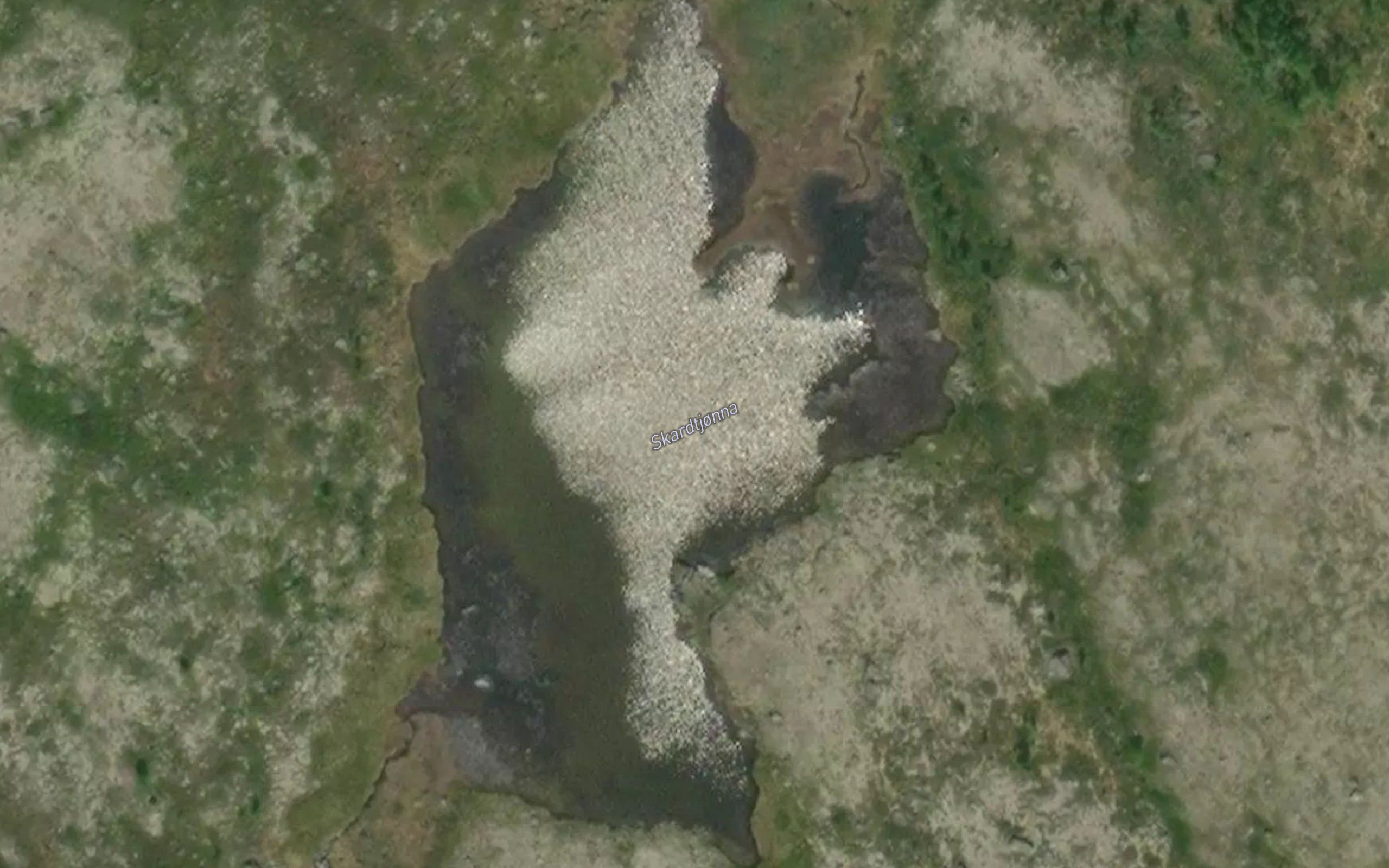 Skardtjorna