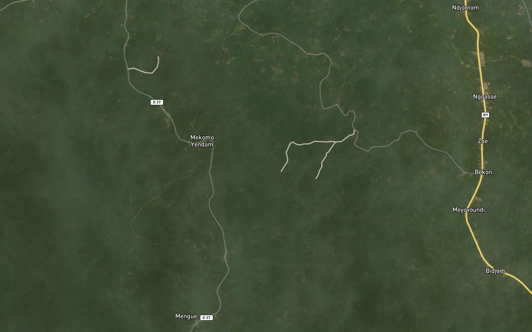 Satellite map of the Ngoungoumou