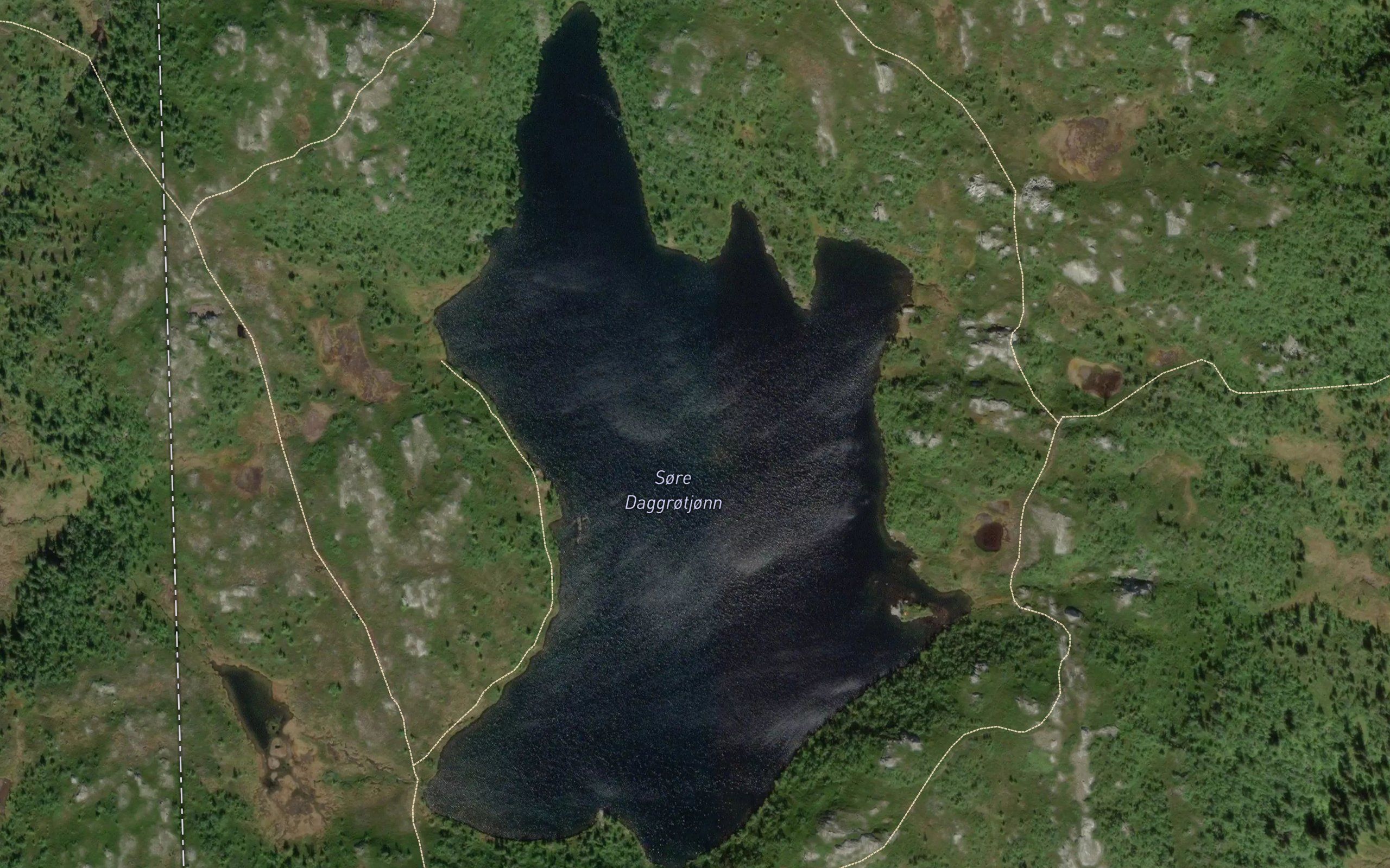 Daggrotjorni,s