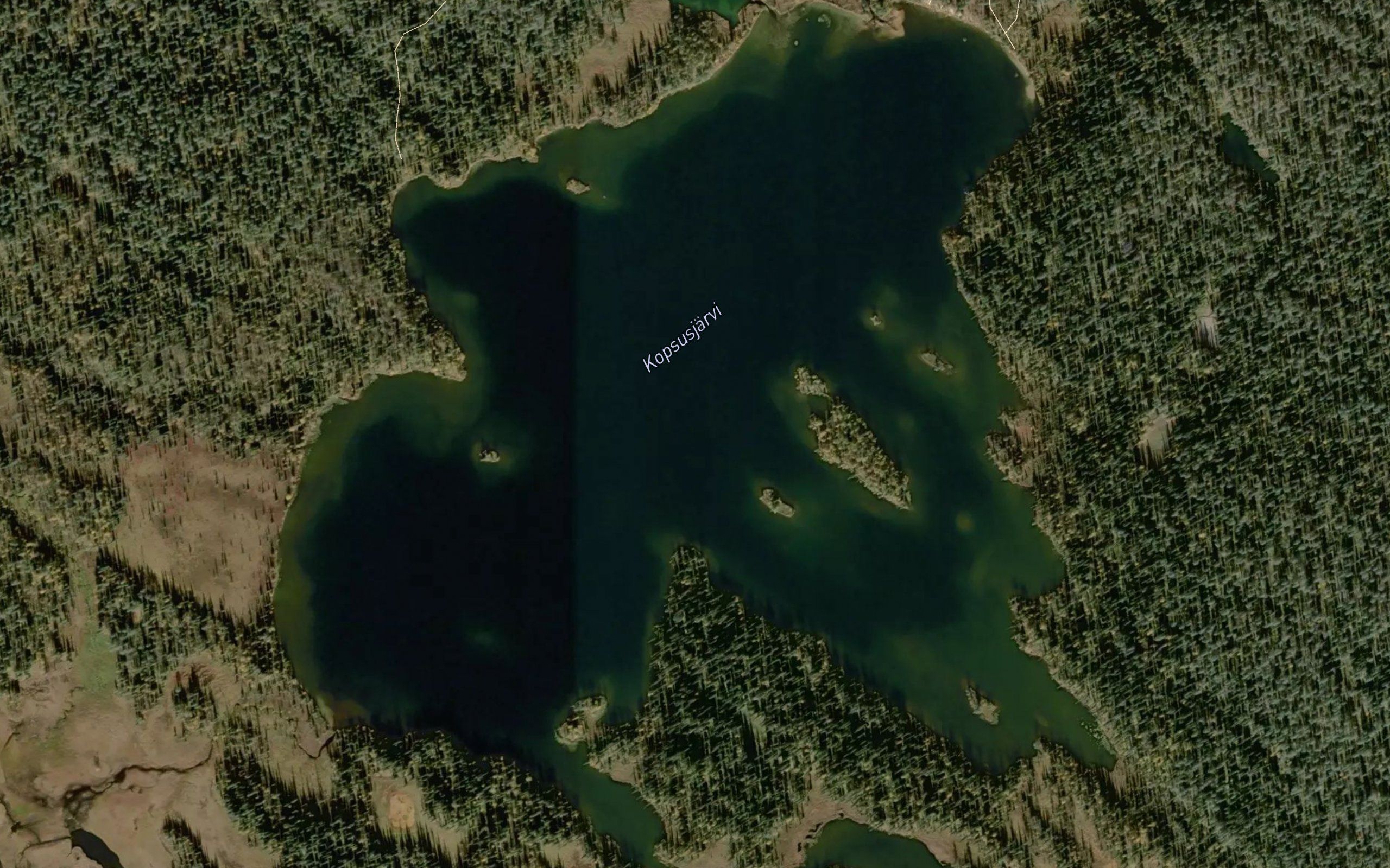 Kopsusjarvi