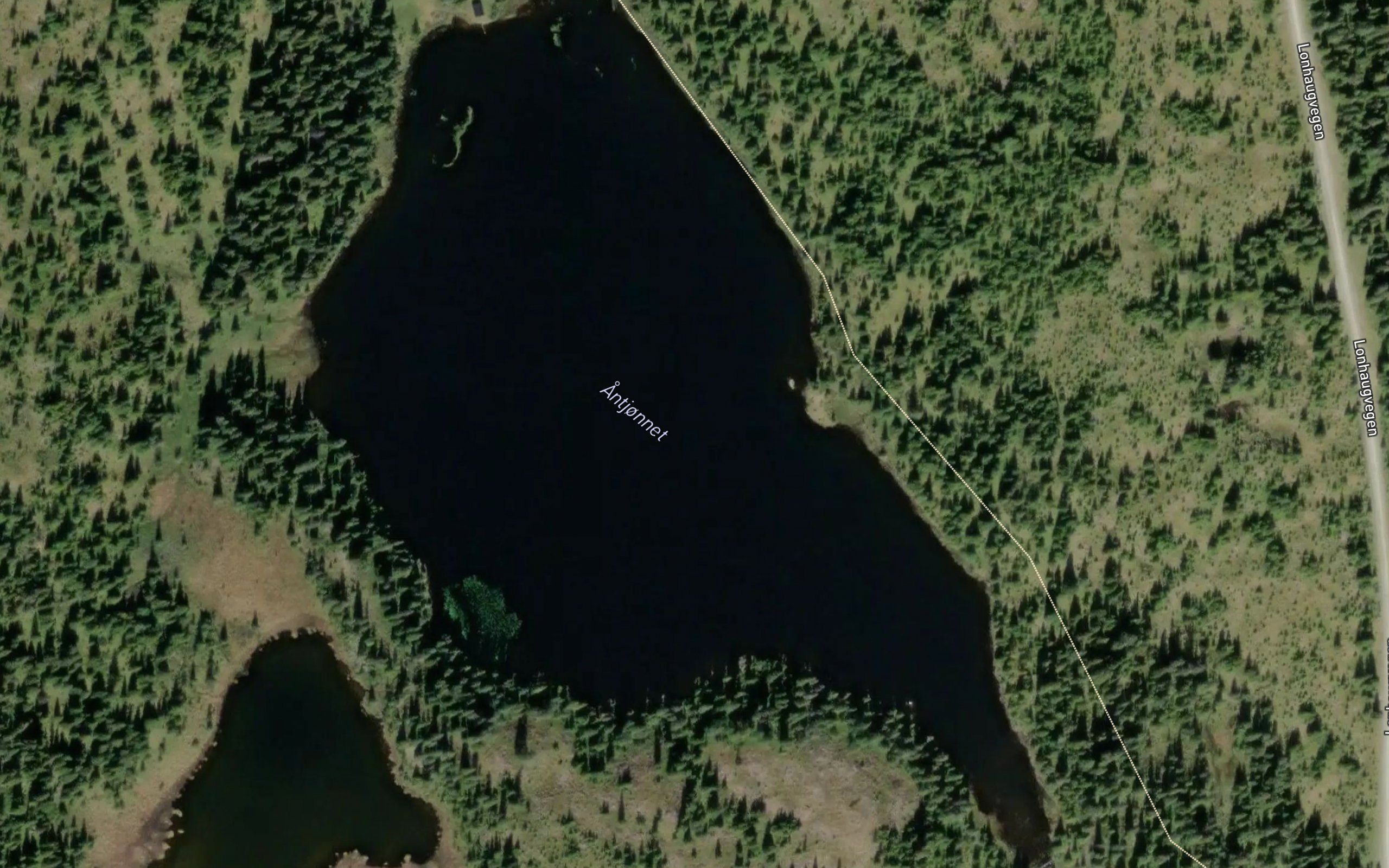 Antjornet