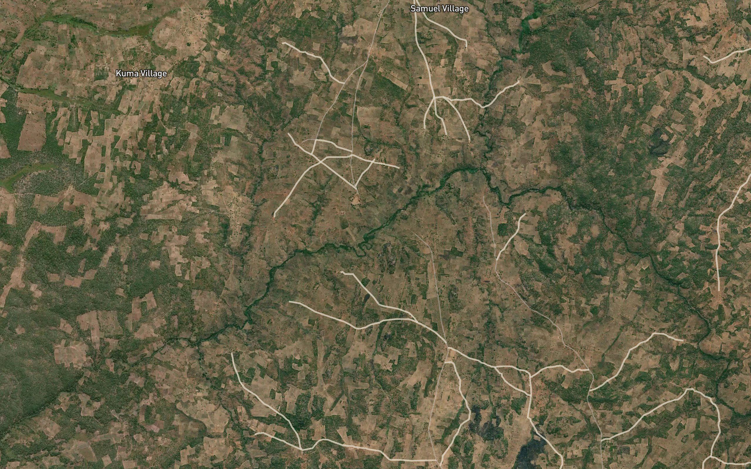 Korani