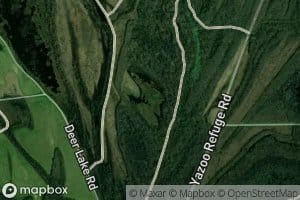 Lizard Lake