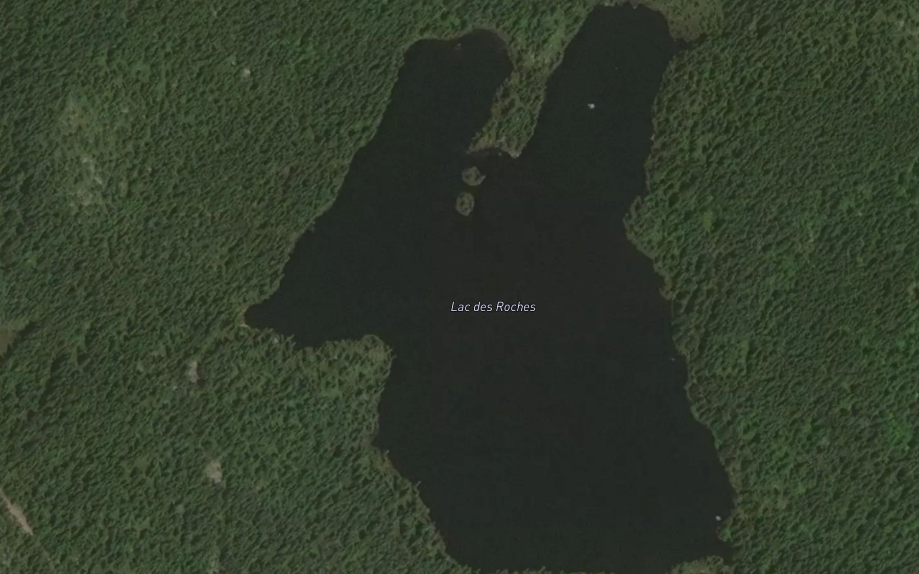 Satellite map of the Lac des Roches