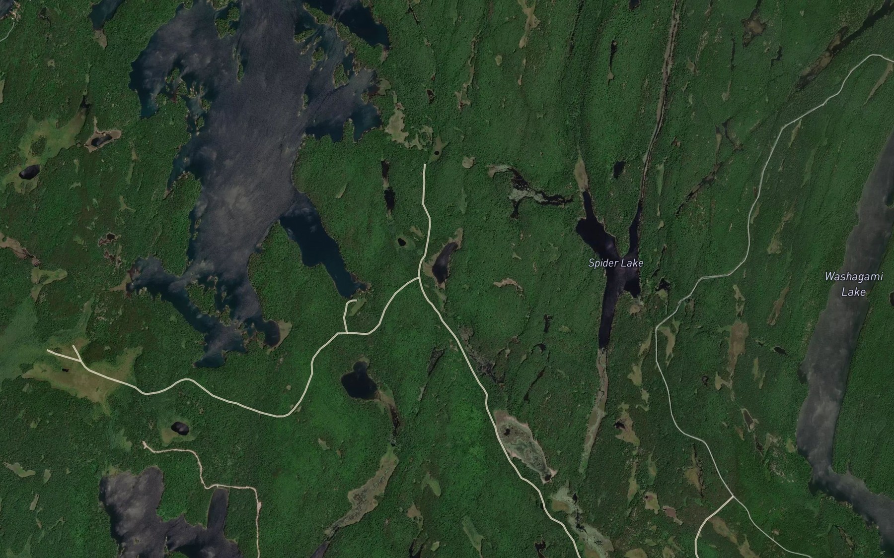 Satellite map of the Paddy's Lake