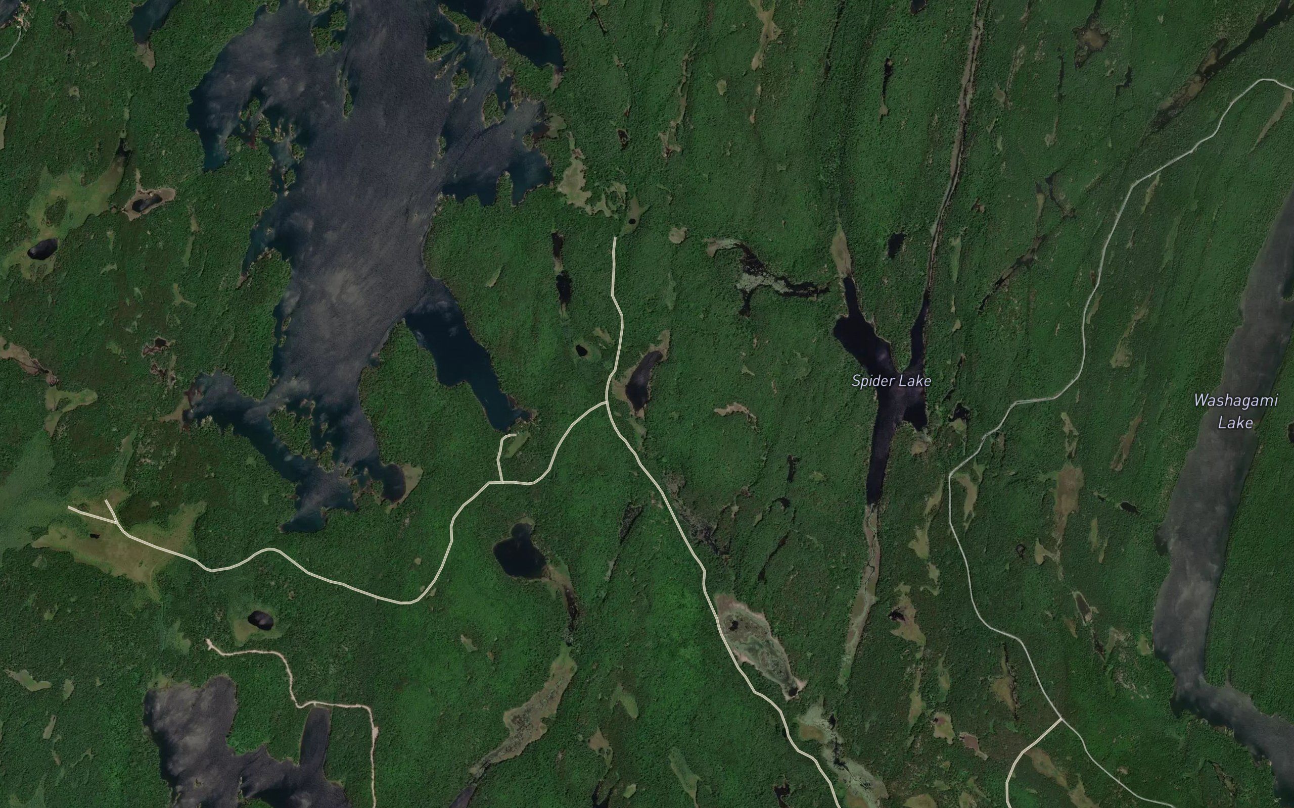 Paddy's Lake
