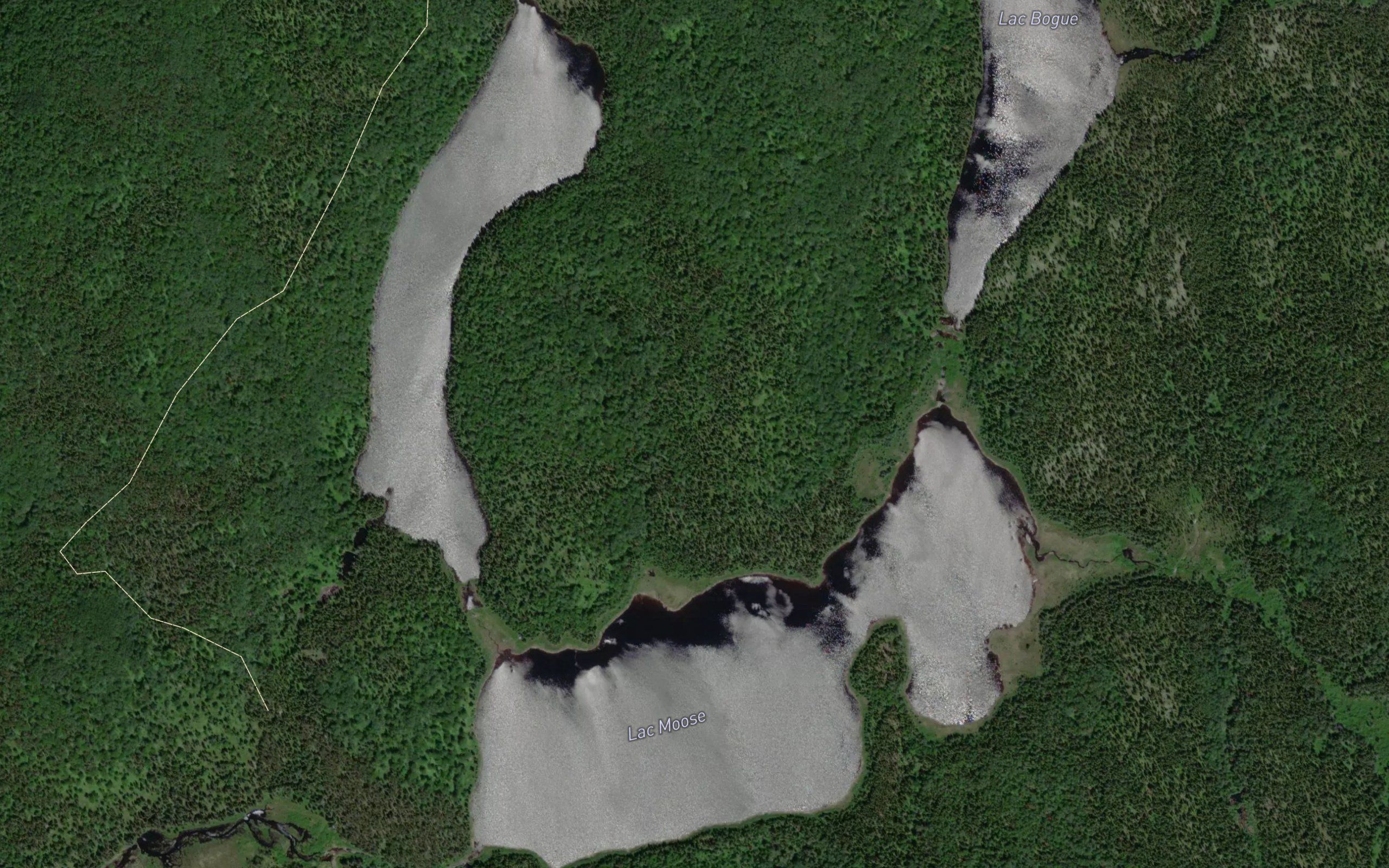 Lac Moose
