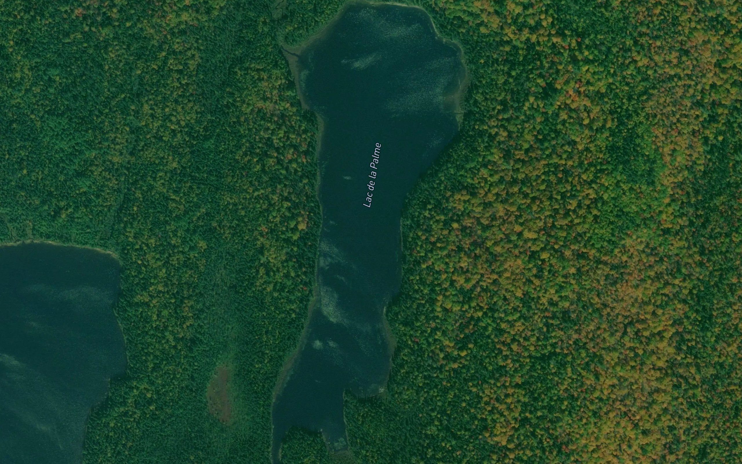 Lac de la Palme