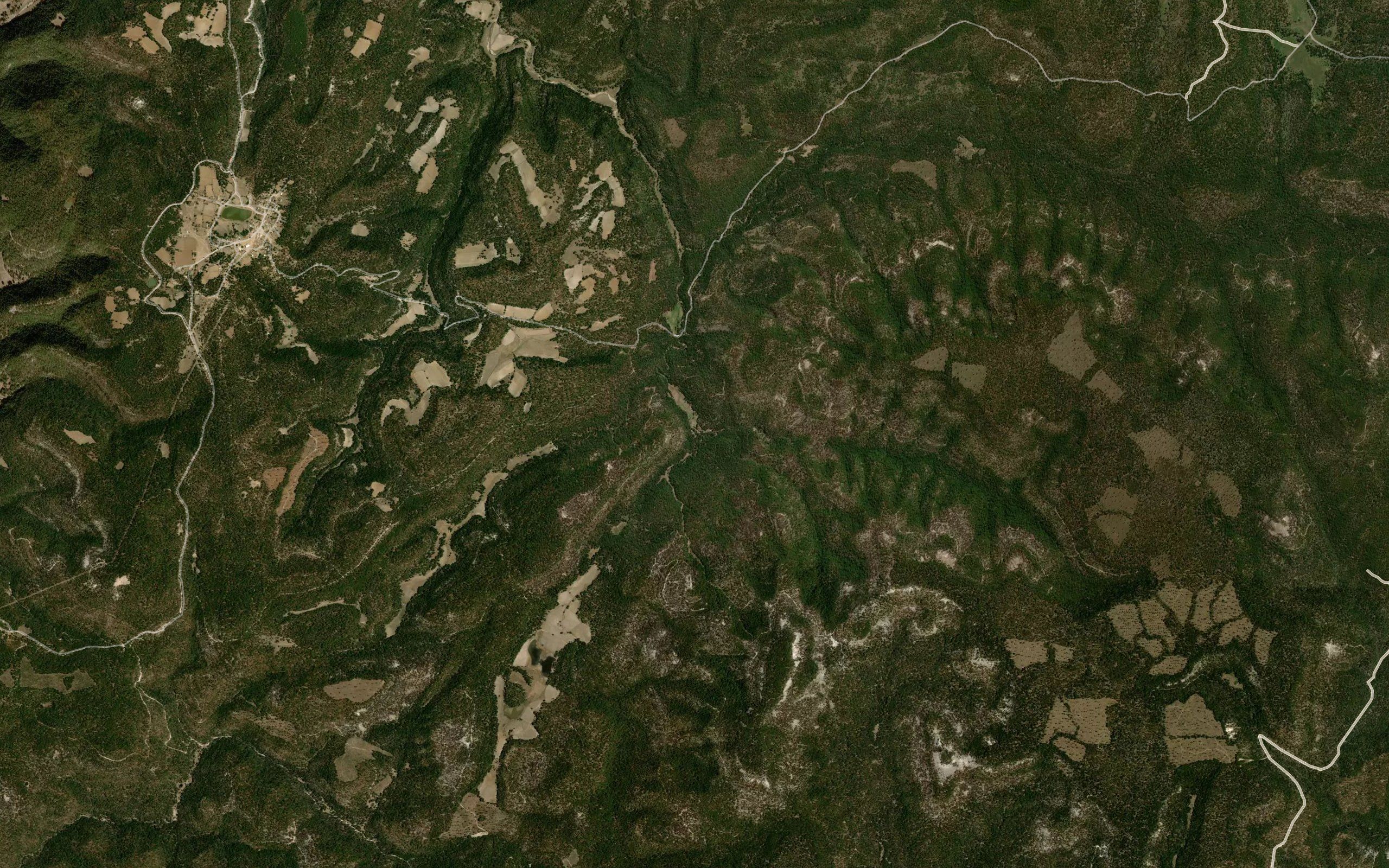 Arroyo la Laguna
