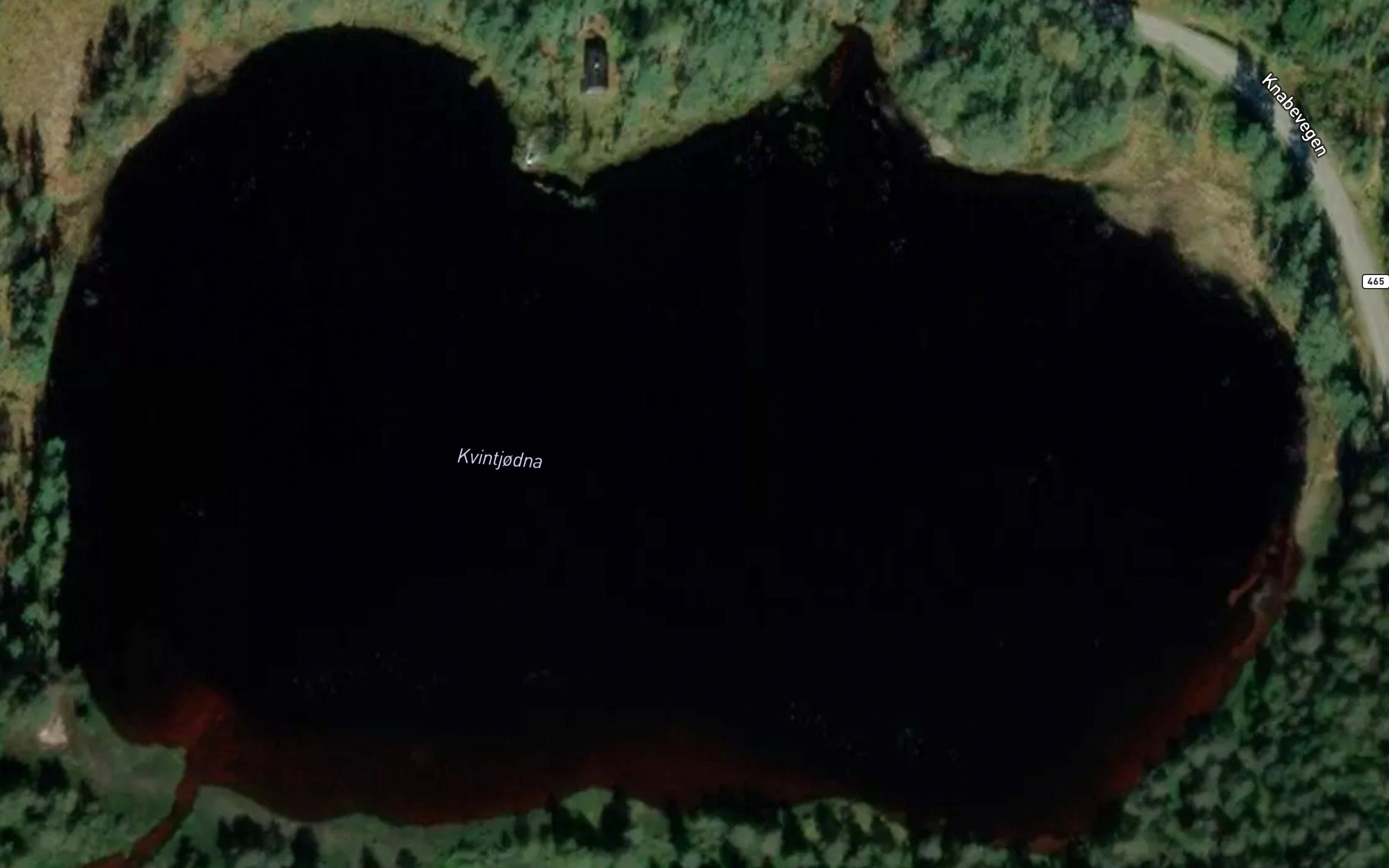 Kvintjorni