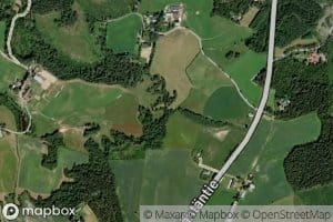 Kotinoja