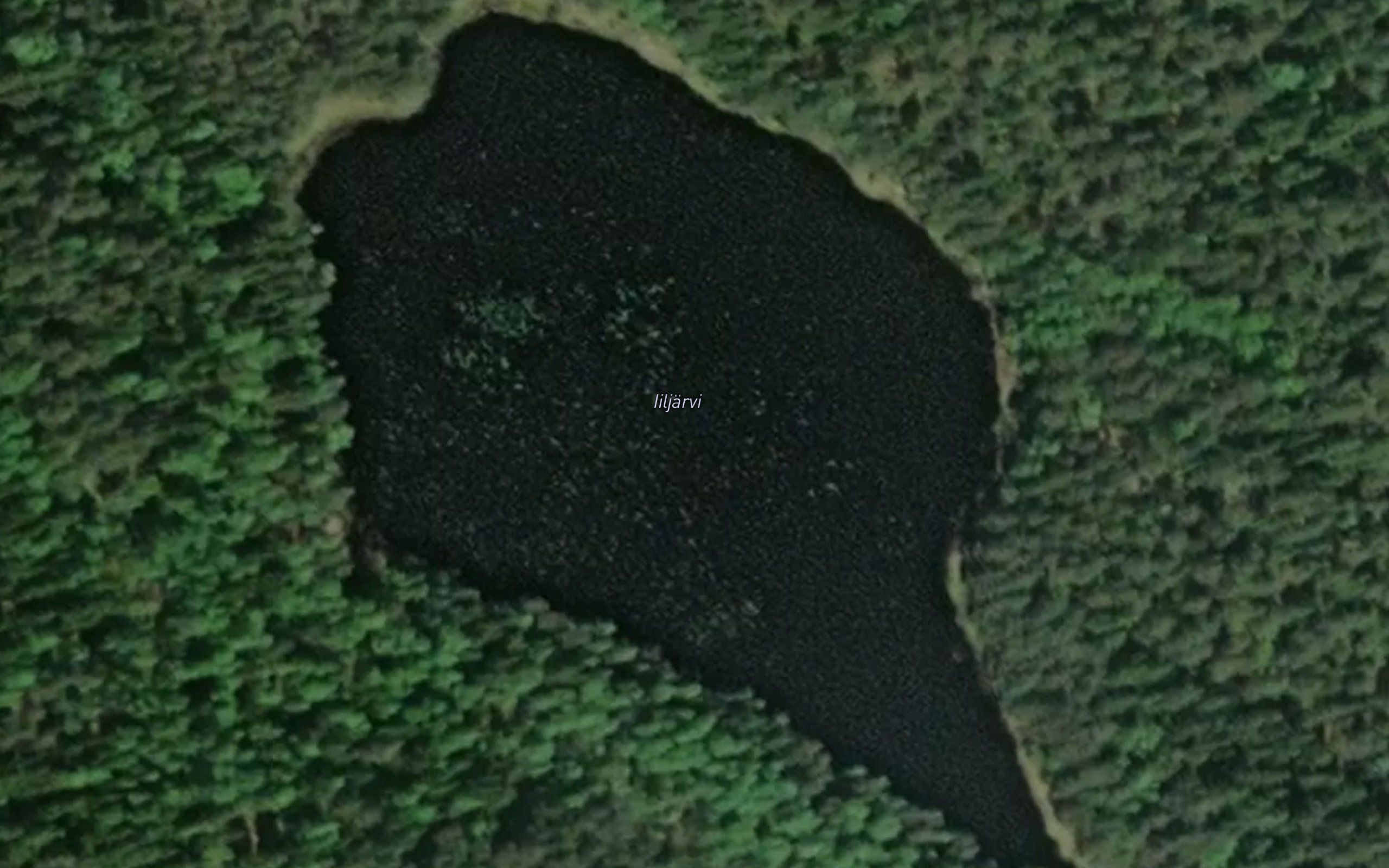 Iiljarvi