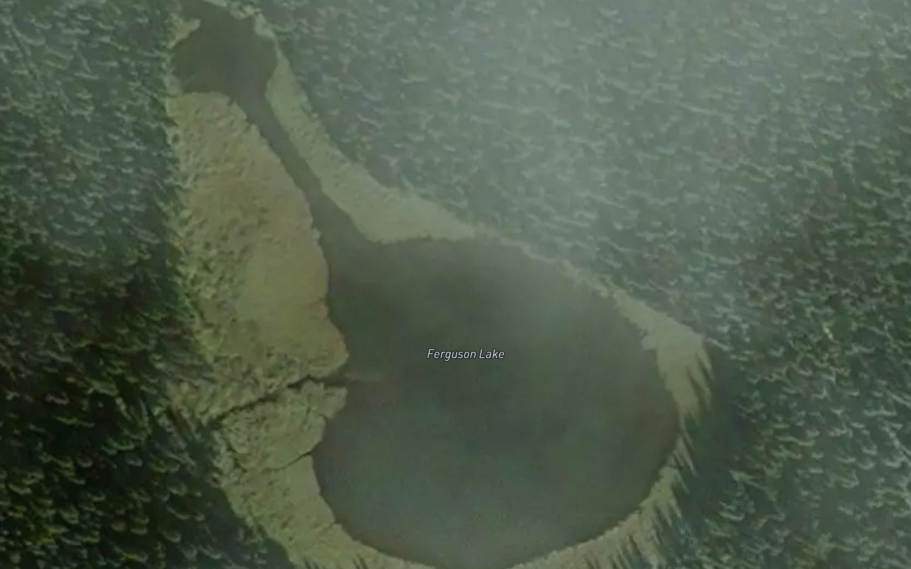 Satellite map of the Ferguson Lake