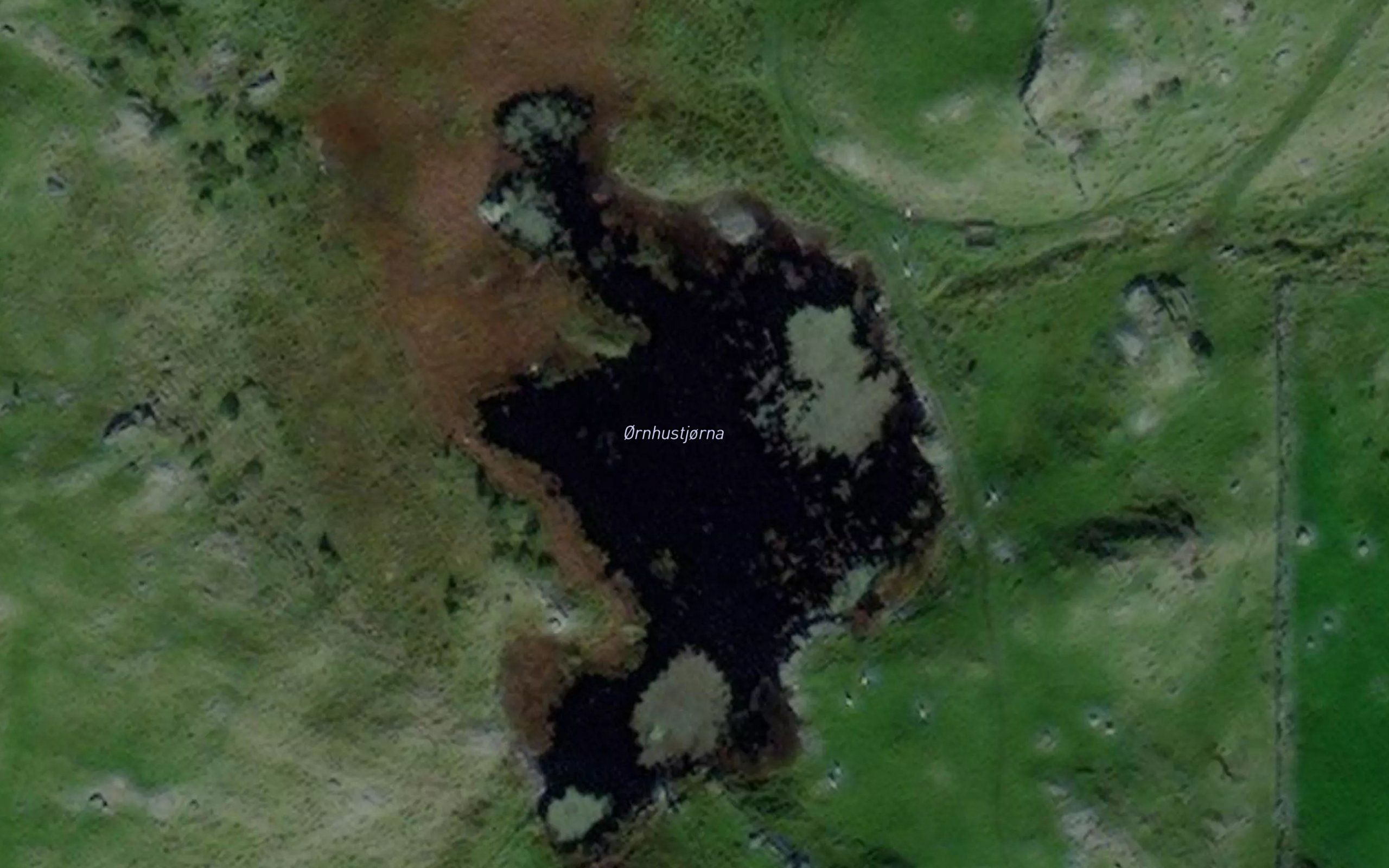Ornhustjorna