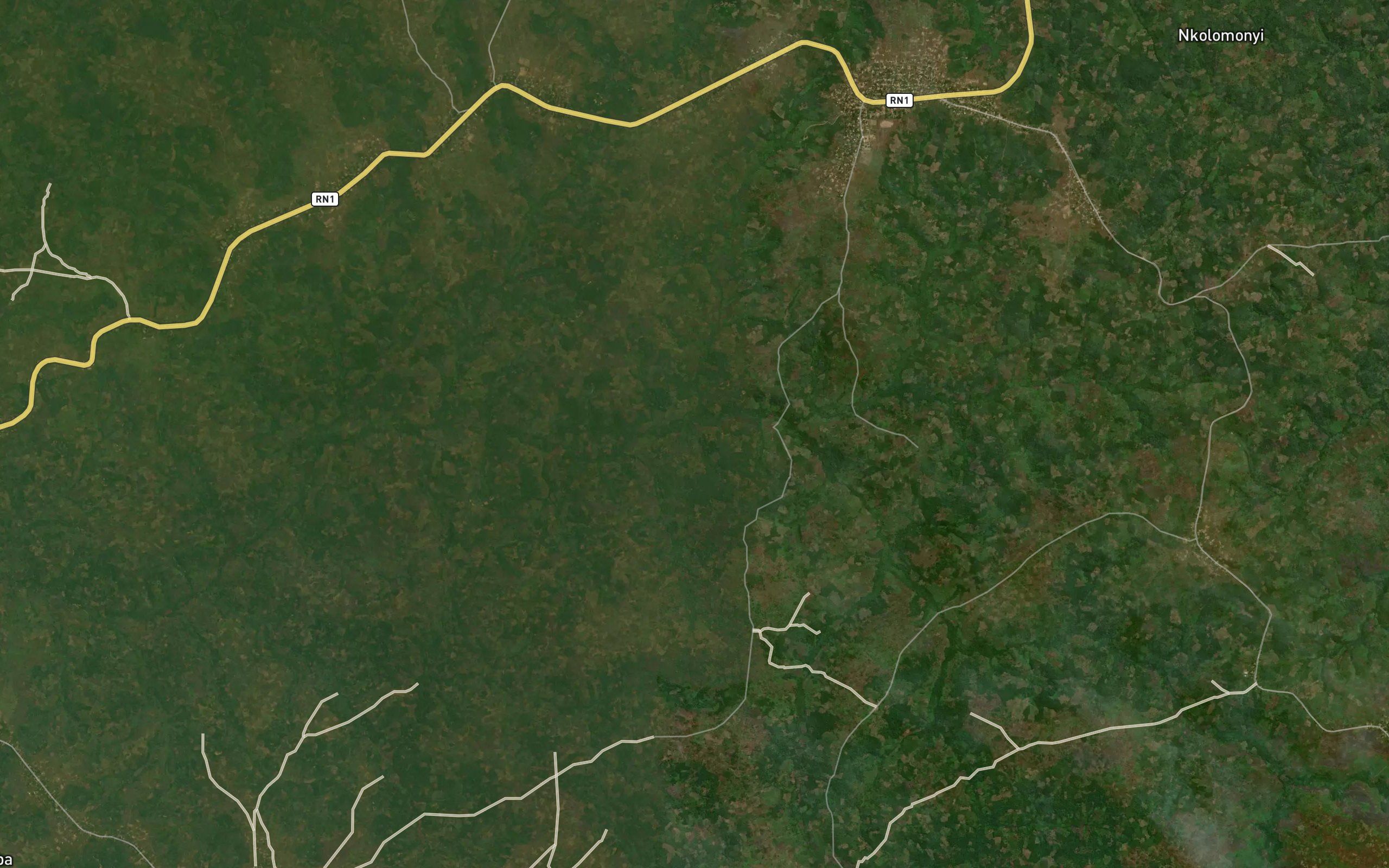 Nduaya