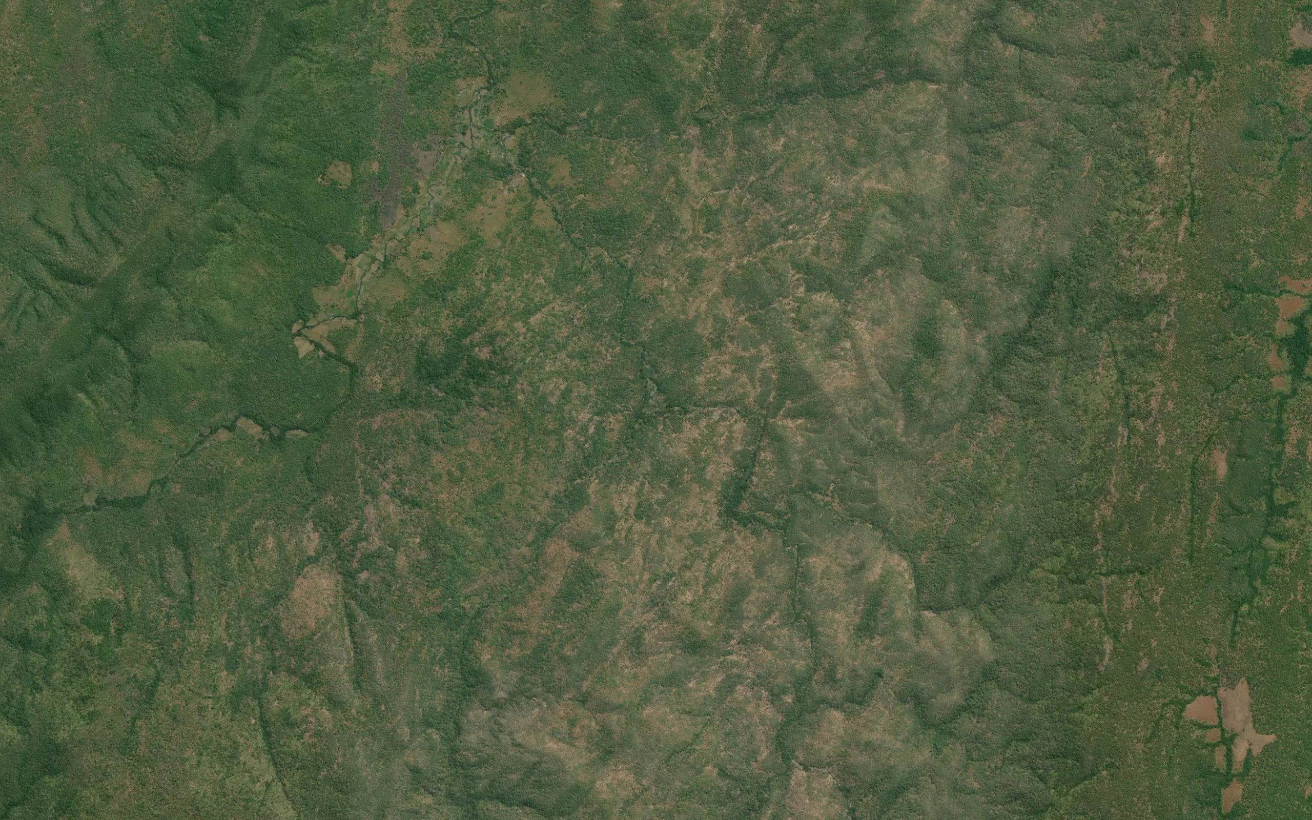 Kapako