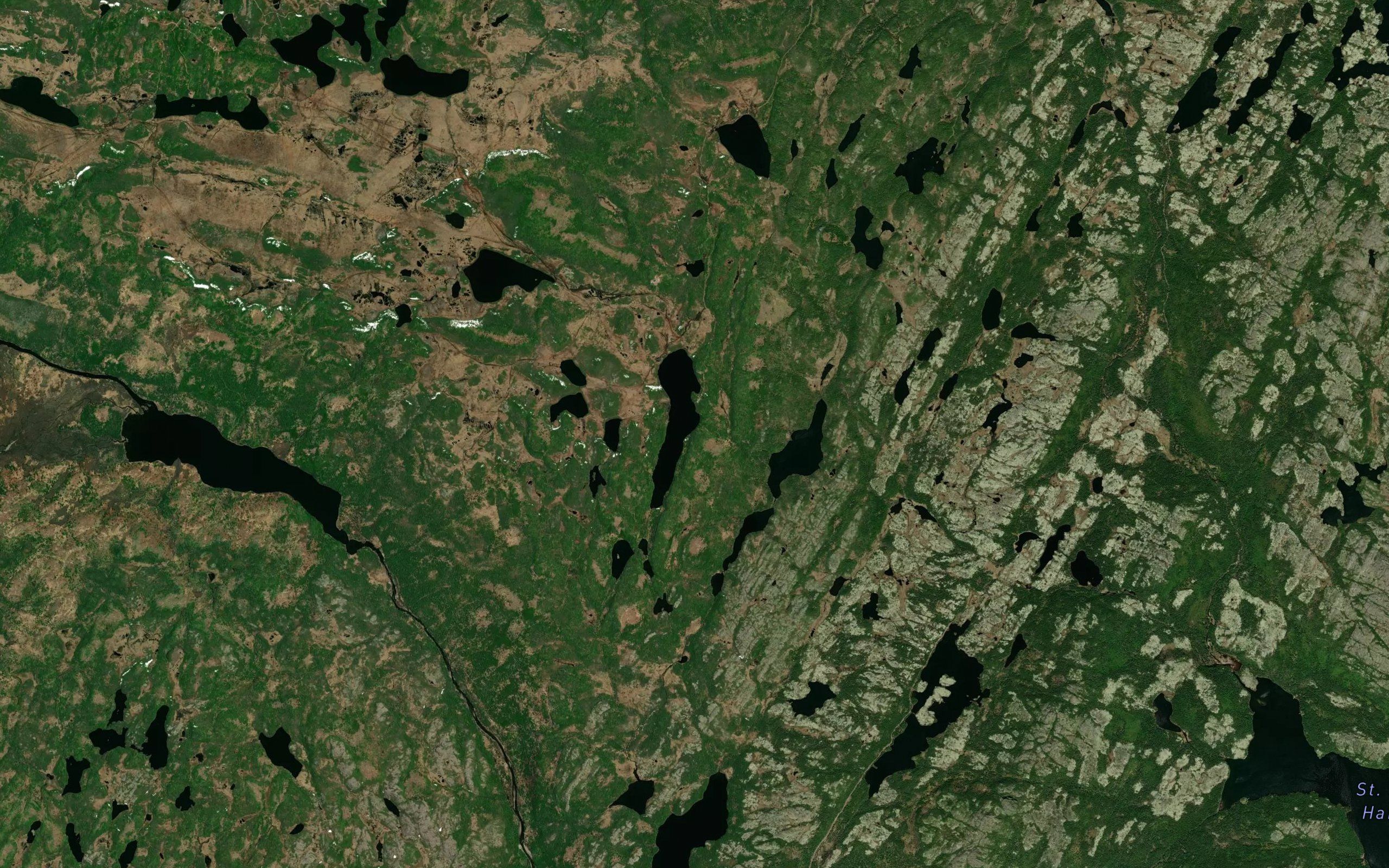 Black Pond