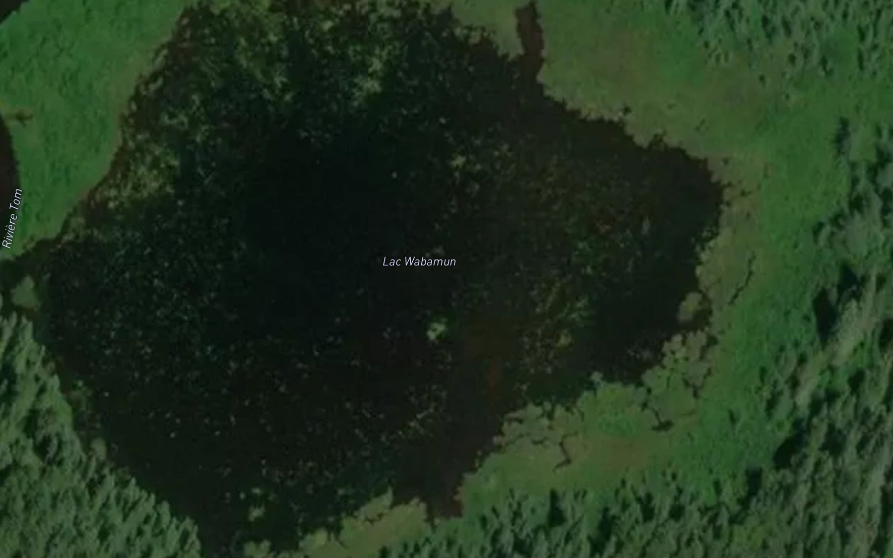 Satellite map of the Lac Wabamun