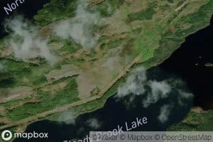 Steady Brook Lake