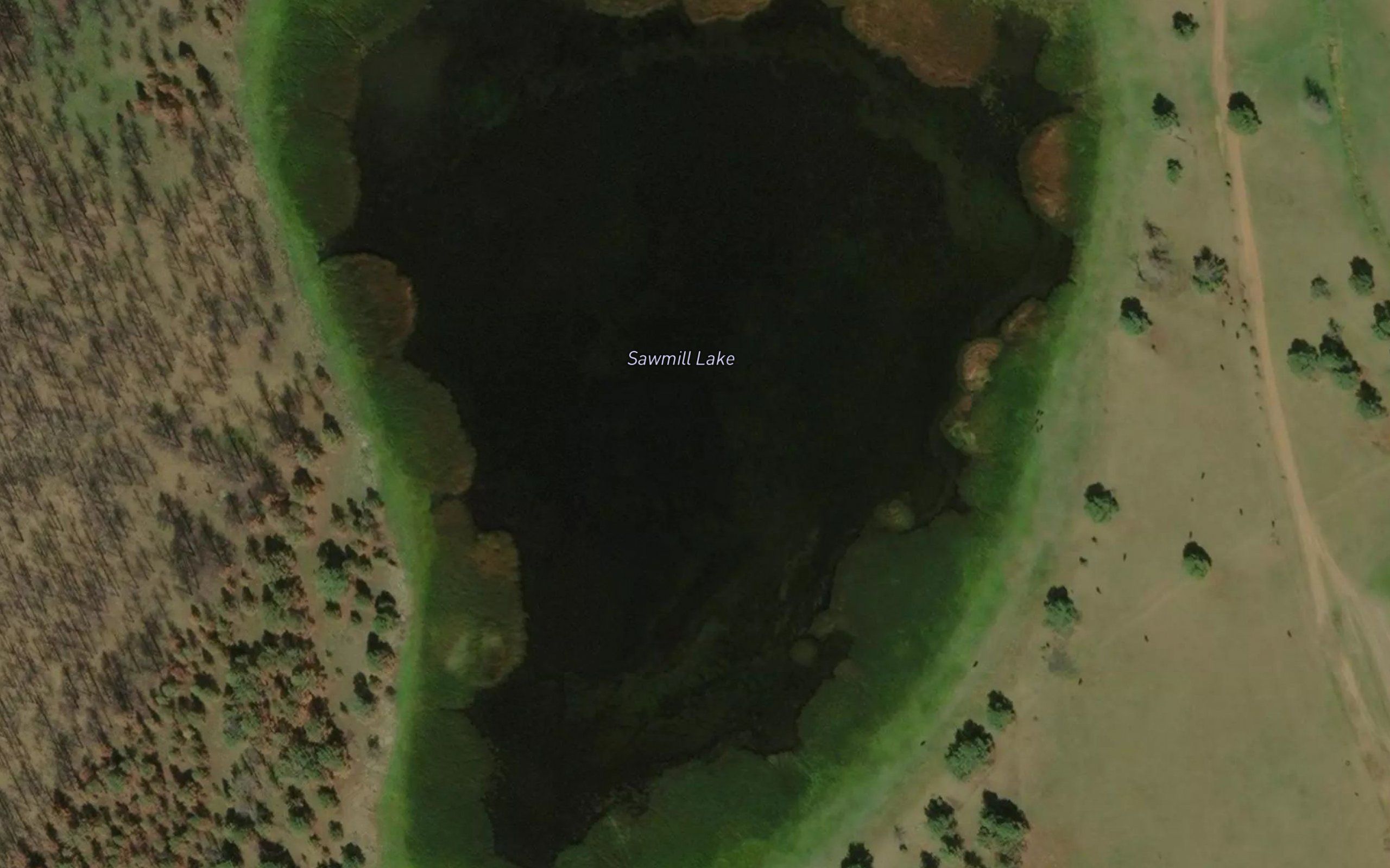 Sawmill Lake