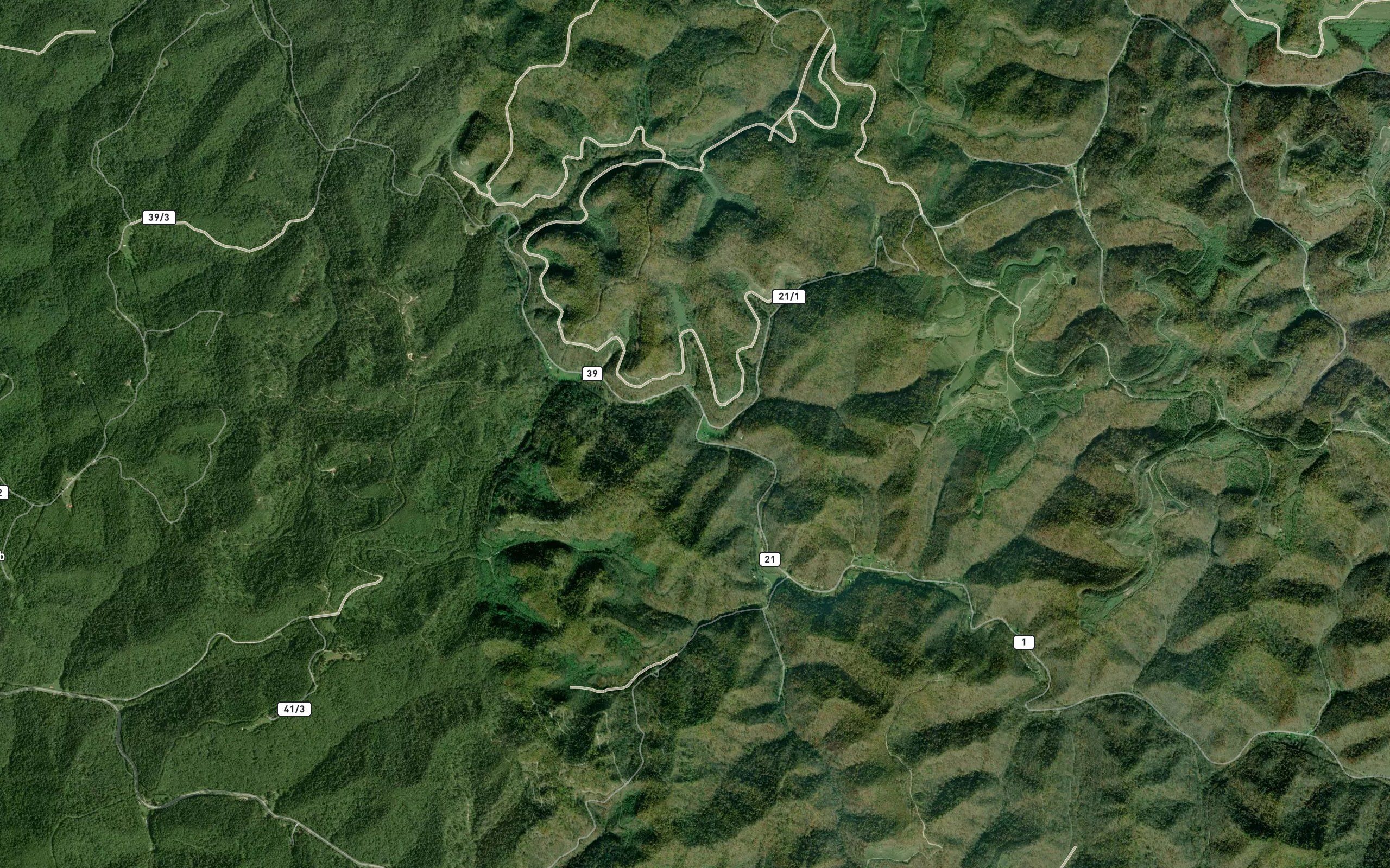 Laurel Branch