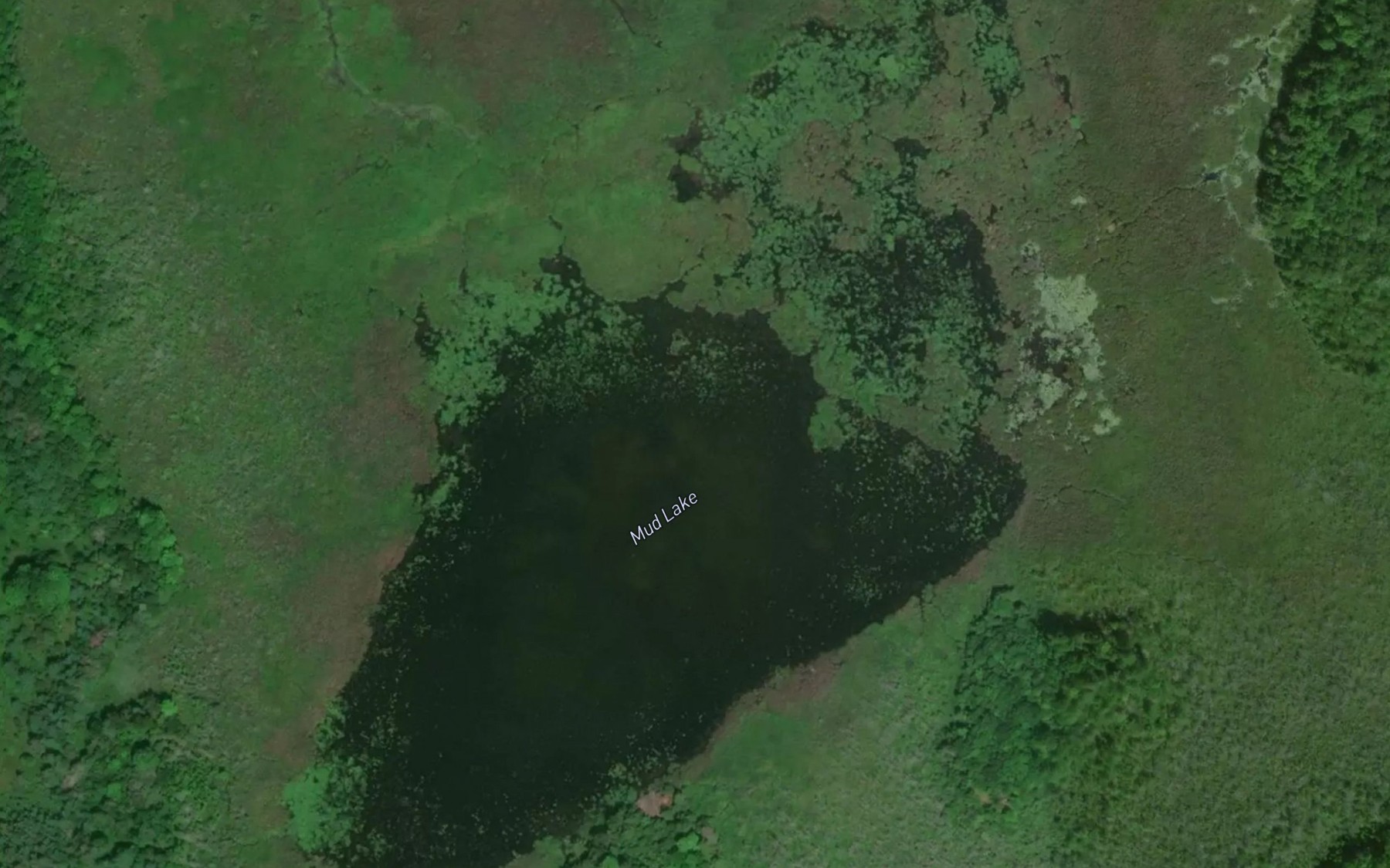 Satellite map of the Mud Lake