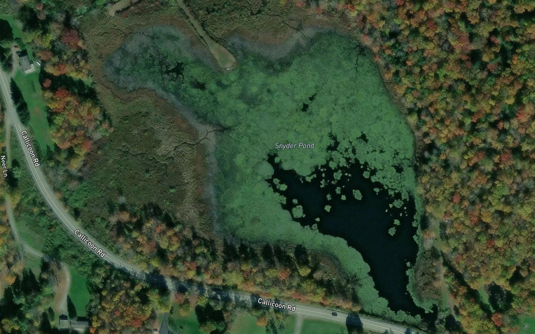 Satellite map of the Snyder Pond