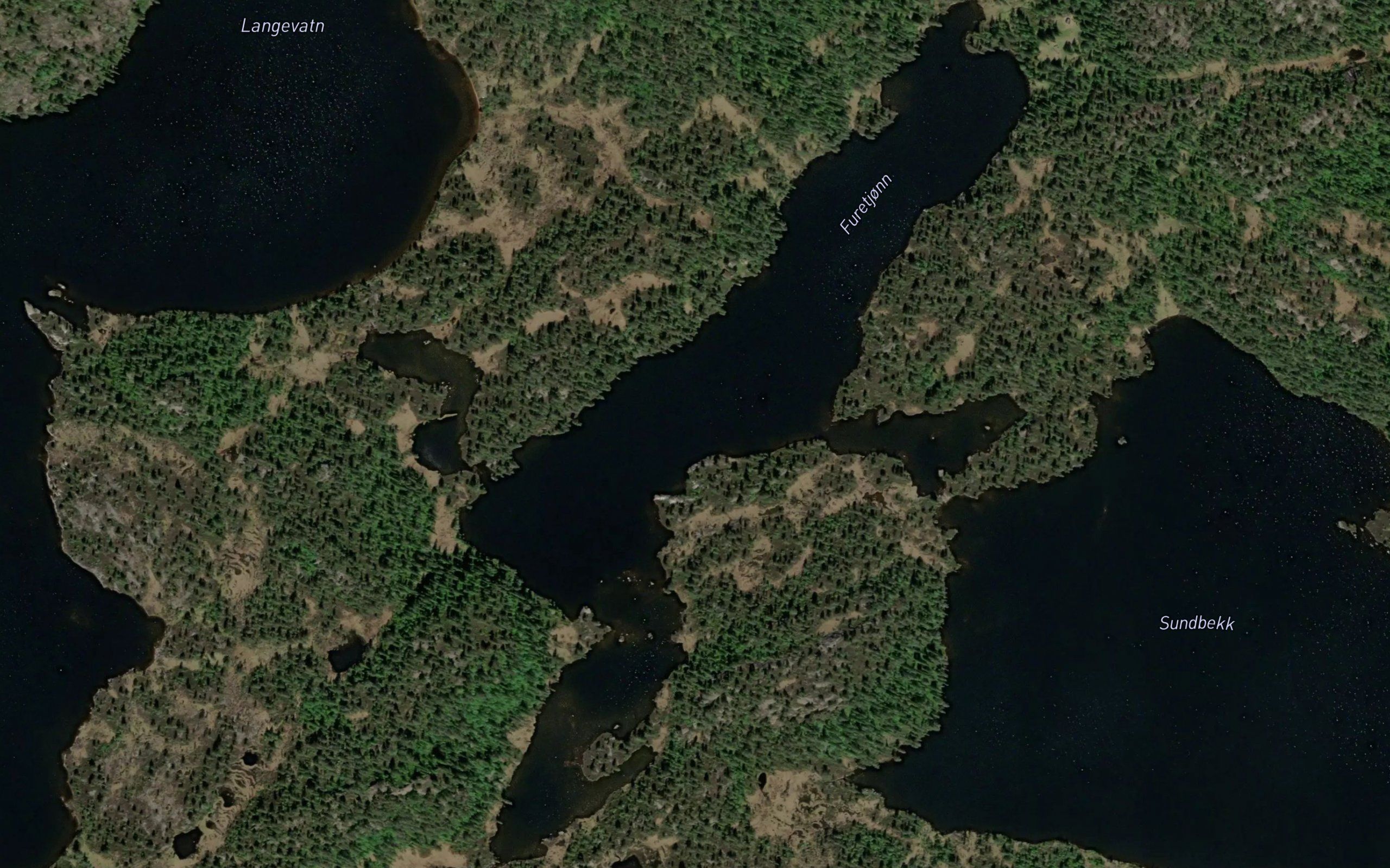 Furetjorn