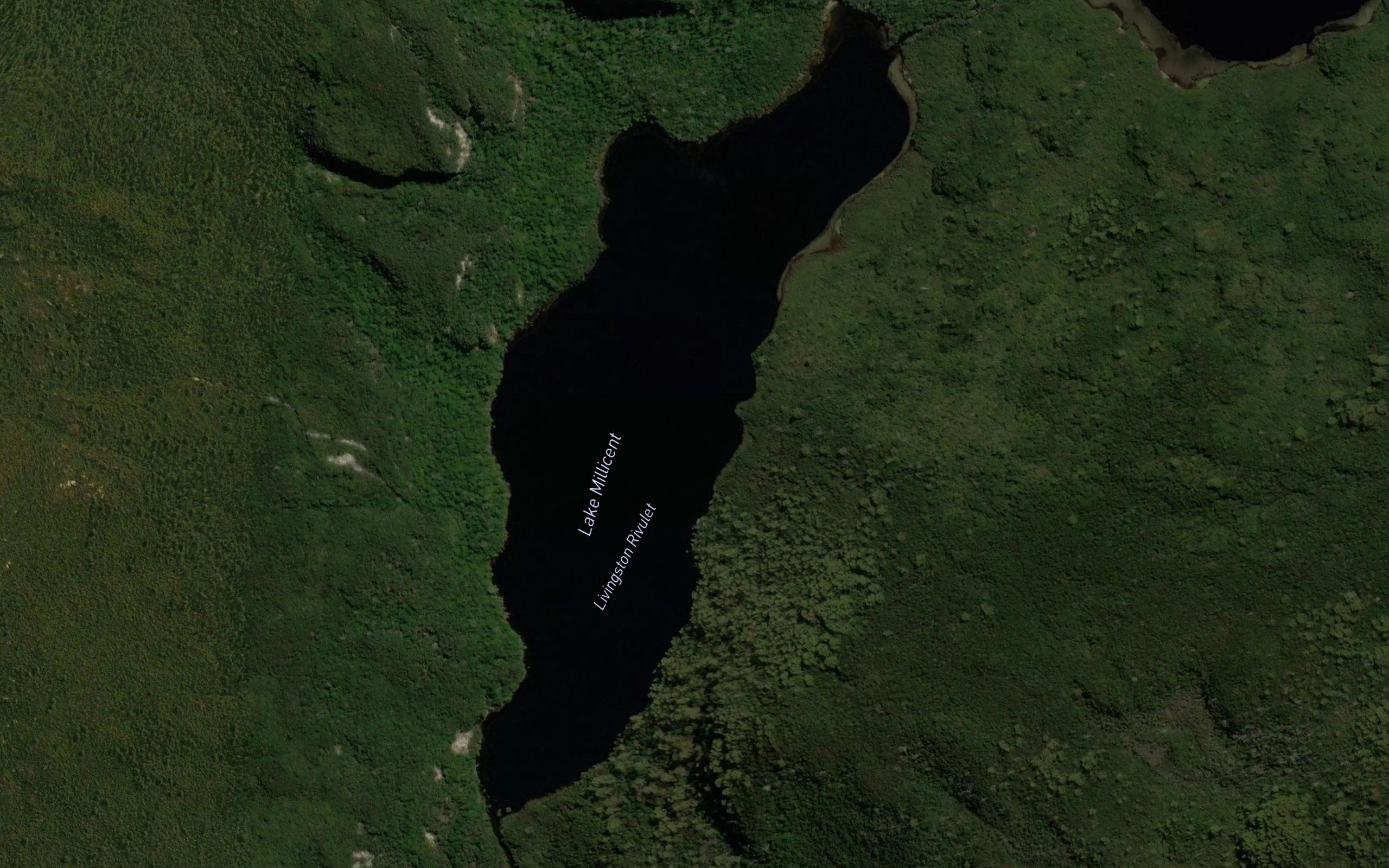 Lake Millicent