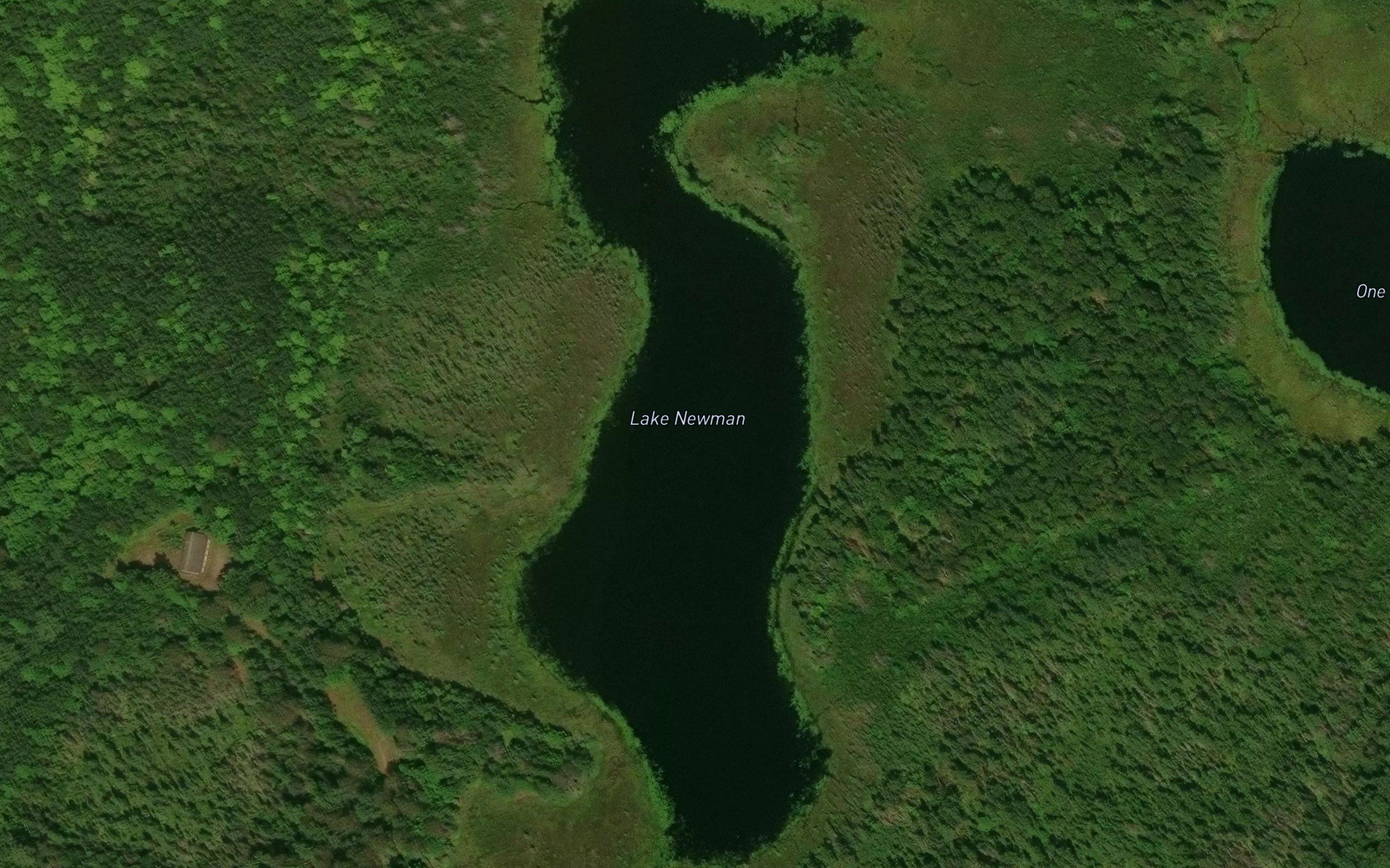 Lake Newman