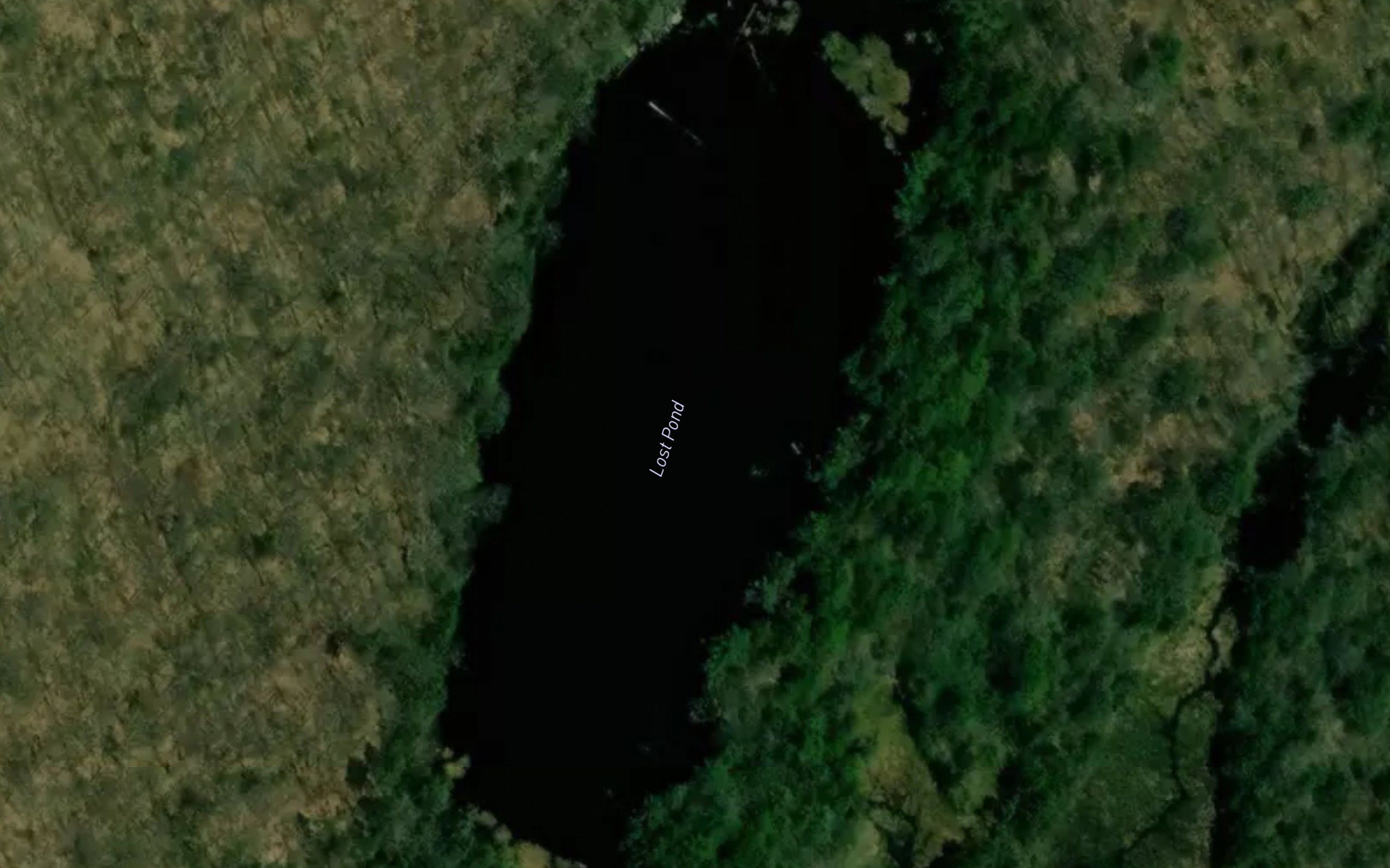 Lost Pond