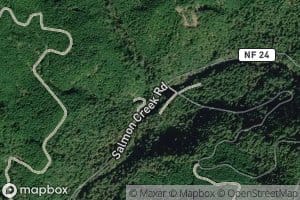 Shitepoke Creek