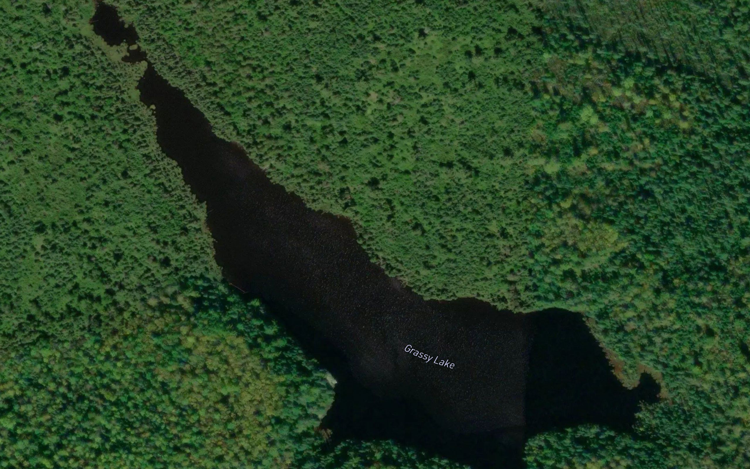 Grassy Lake