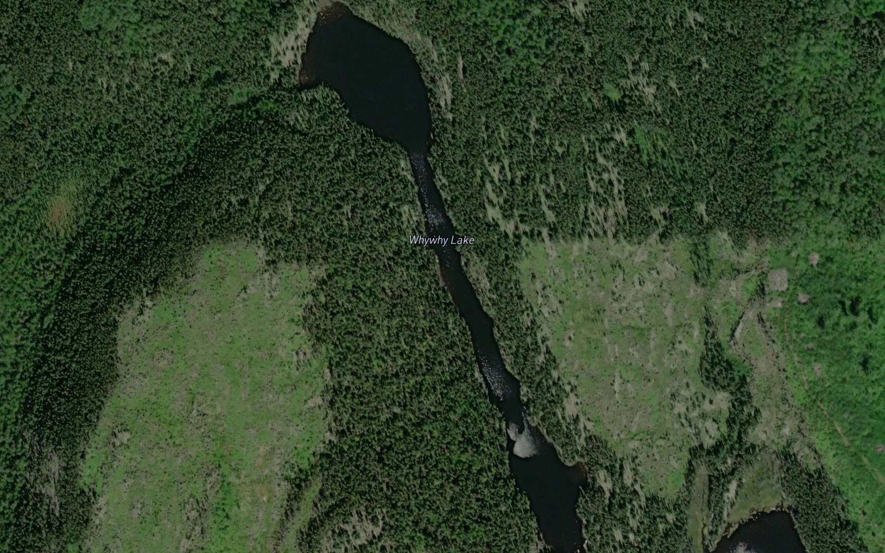 Satellite map of the Whywhy Lake