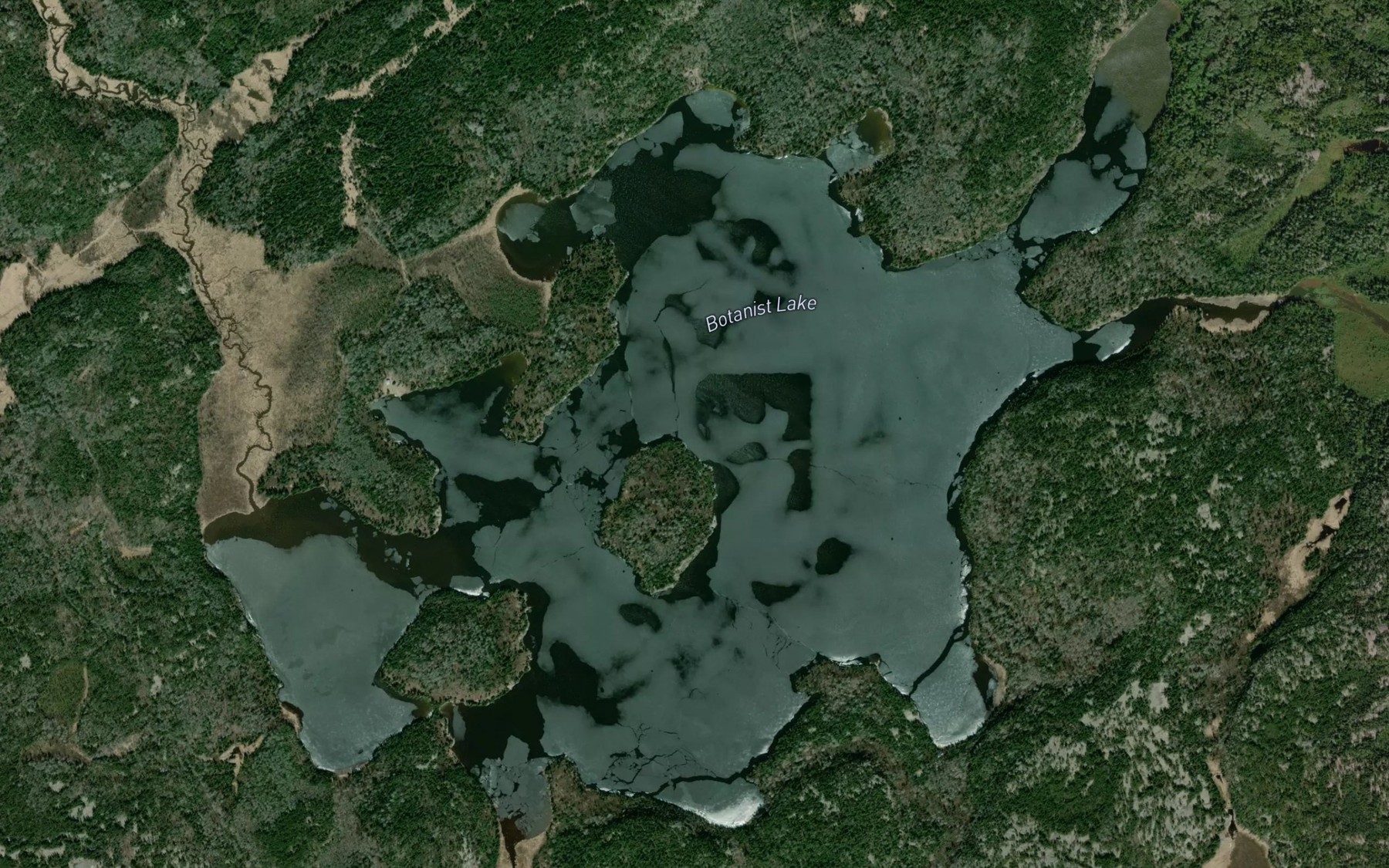 Satellite map of the Botanist Lake