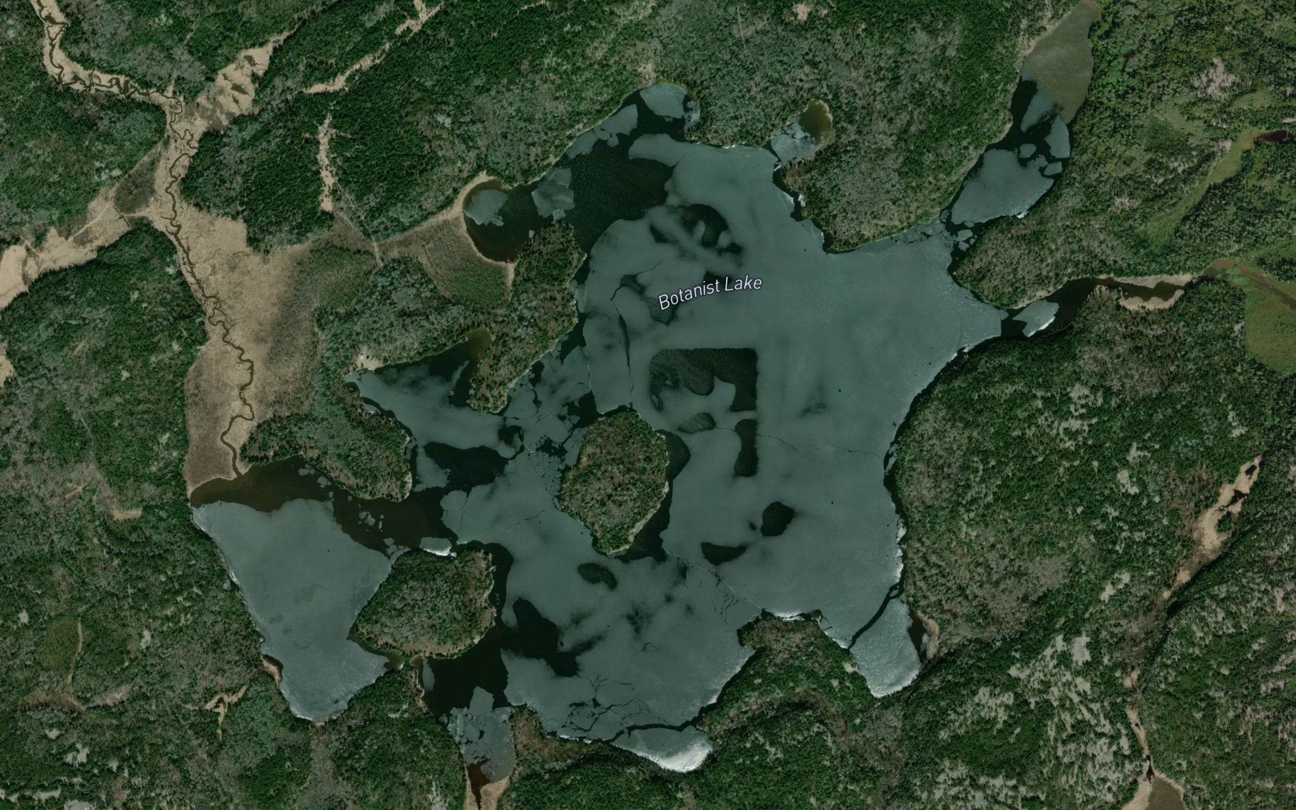 Botanist Lake
