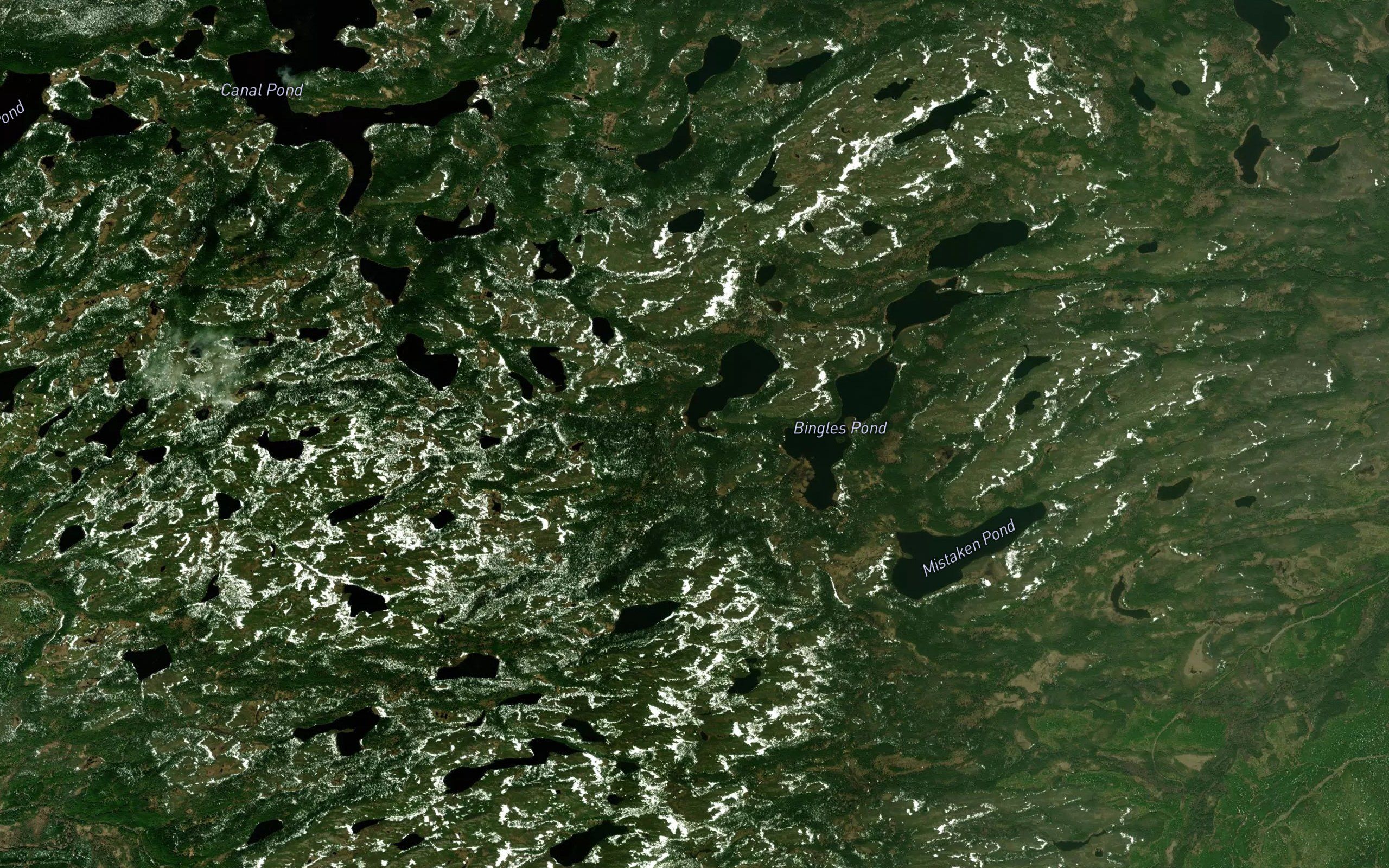 Bridgers Pond