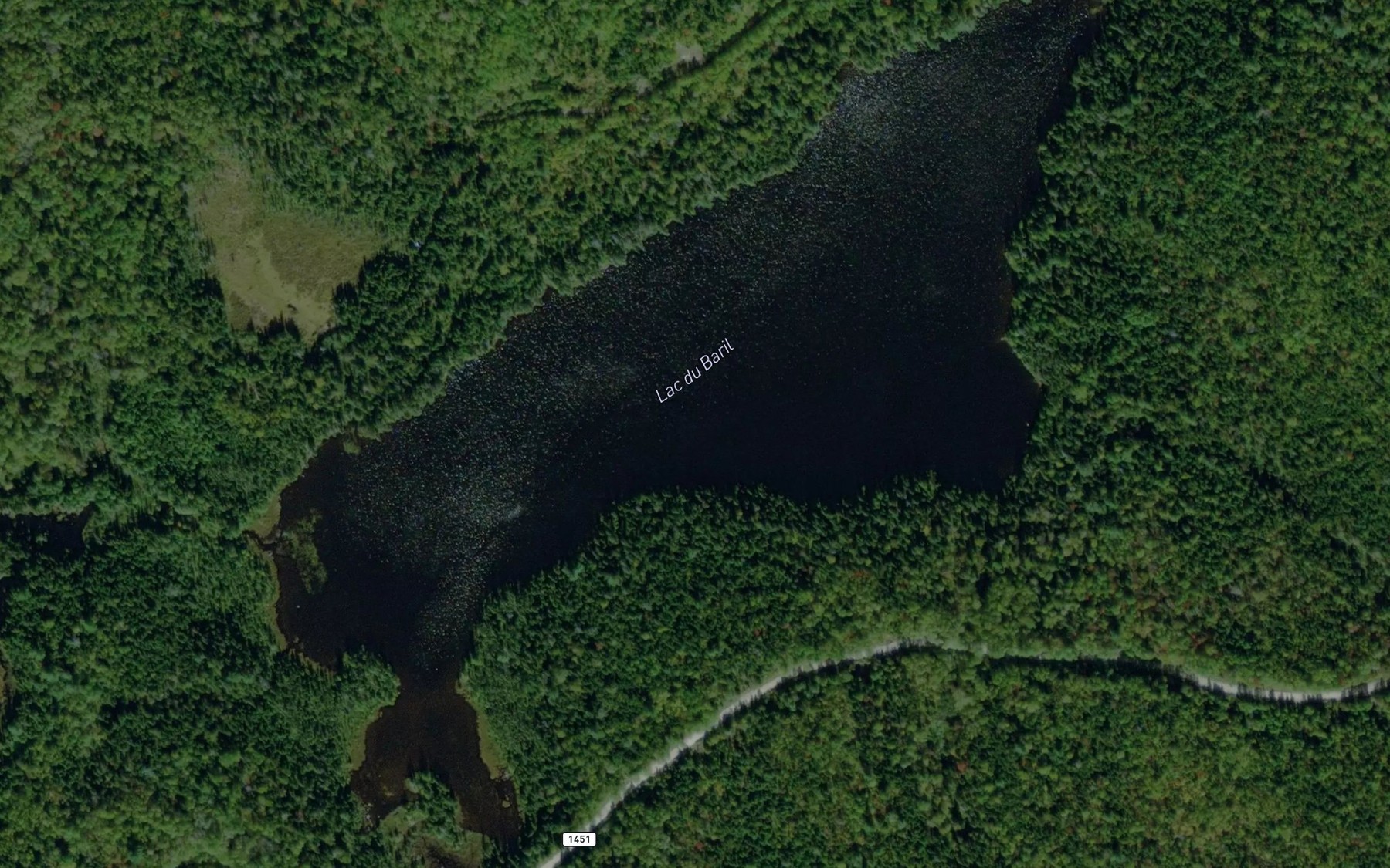 Satellite map of the Lac du Baril