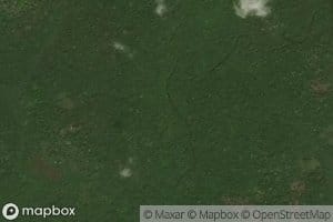 Ngale