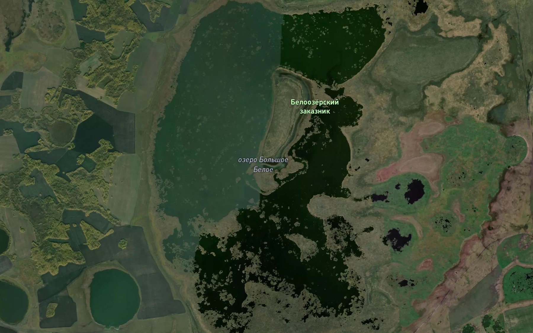 Satellite map of the Ozero Bol'shoye Beloye