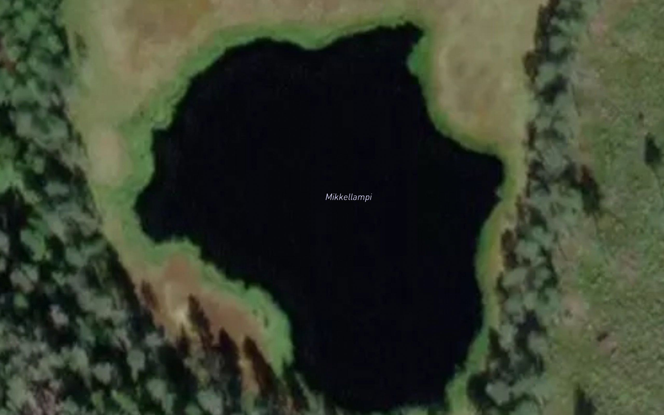 Mikkellampi