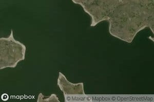 Swift Bird Bay
