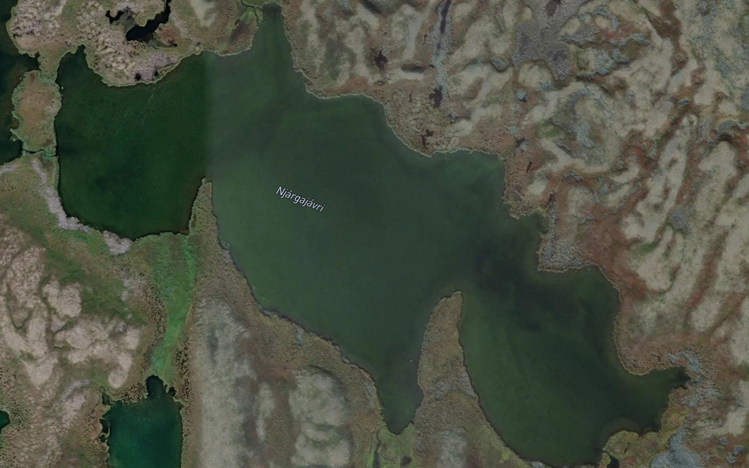 Njargajavri